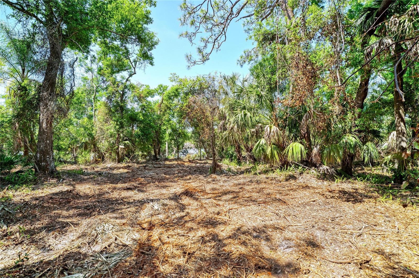 Image 7 of 18 For 3612 57th Street E