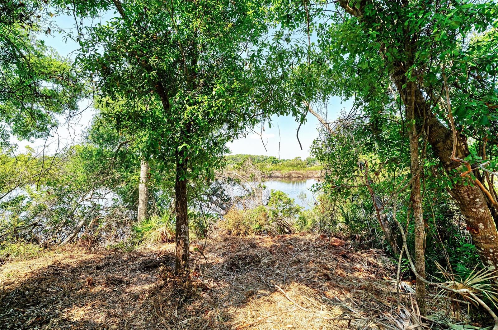 Image 8 of 18 For 3612 57th Street E