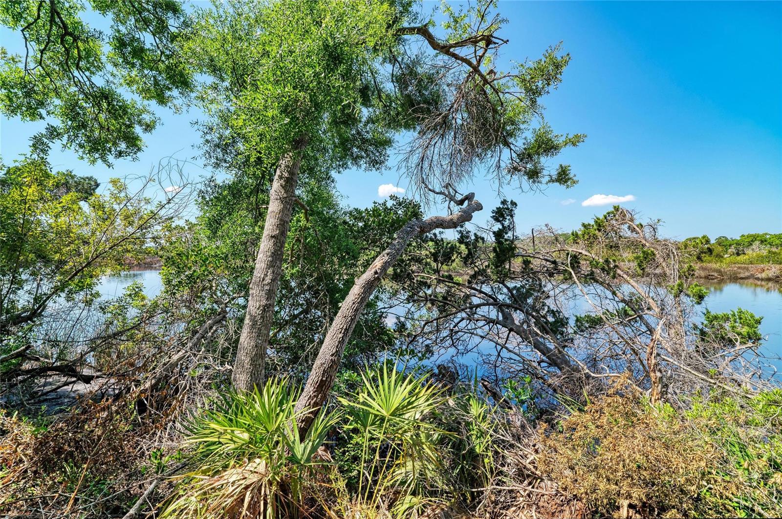 Image 9 of 18 For 3612 57th Street E