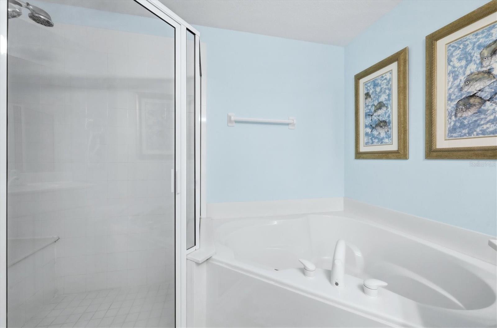 Image 29 of 93 For 4478 Streamside Court 1506