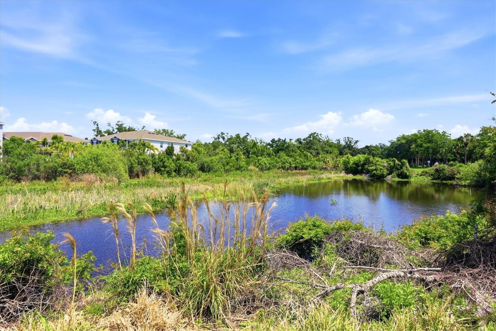 Image 40 of 93 For 4478 Streamside Court 1506