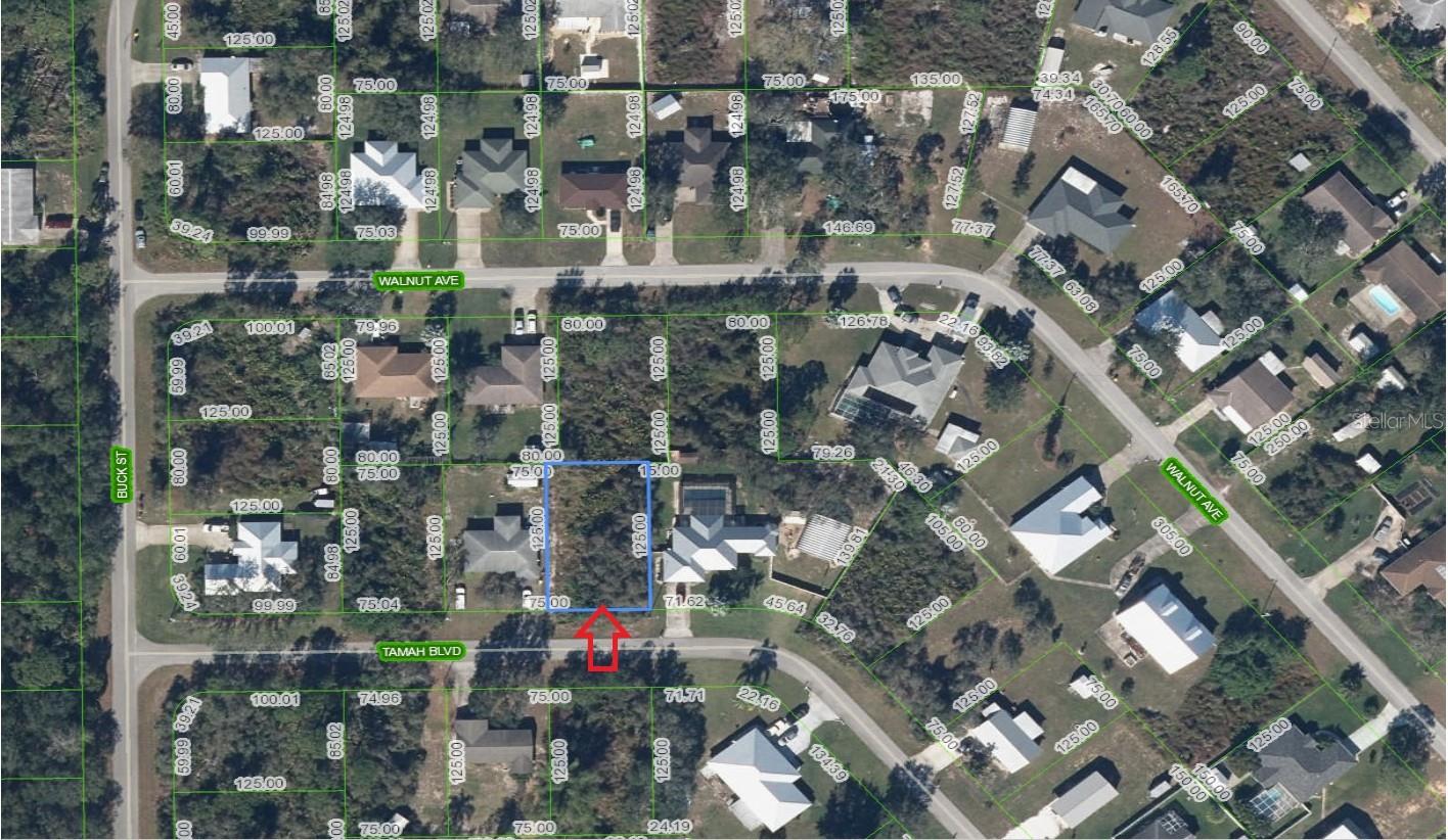 Listing Details for 1507 Tamah Boulevard, LAKE PLACID, FL 33852