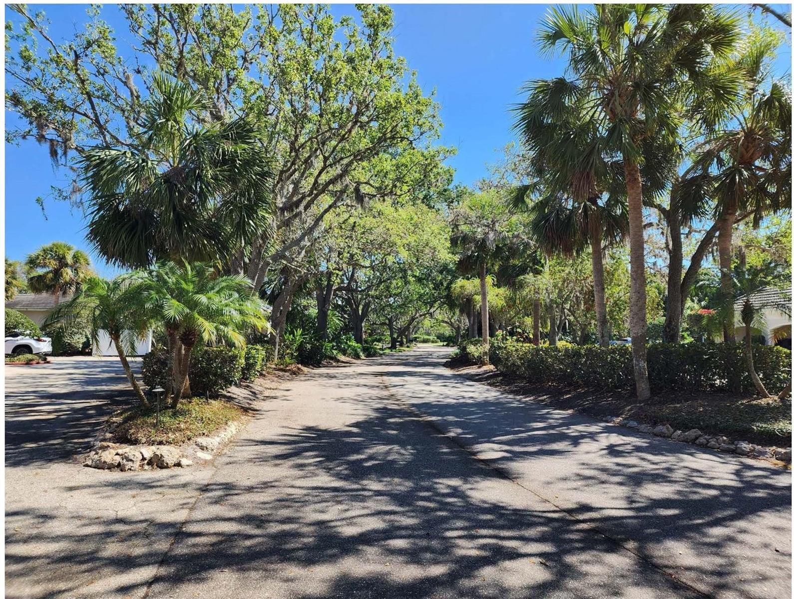 Image 18 of 23 For 76 Bishops Court Road 116