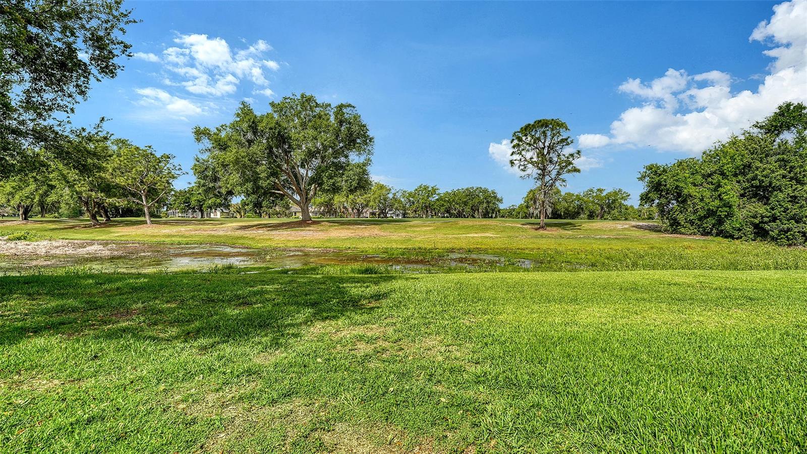 Image 55 of 76 For 7312 Pine Valley Street