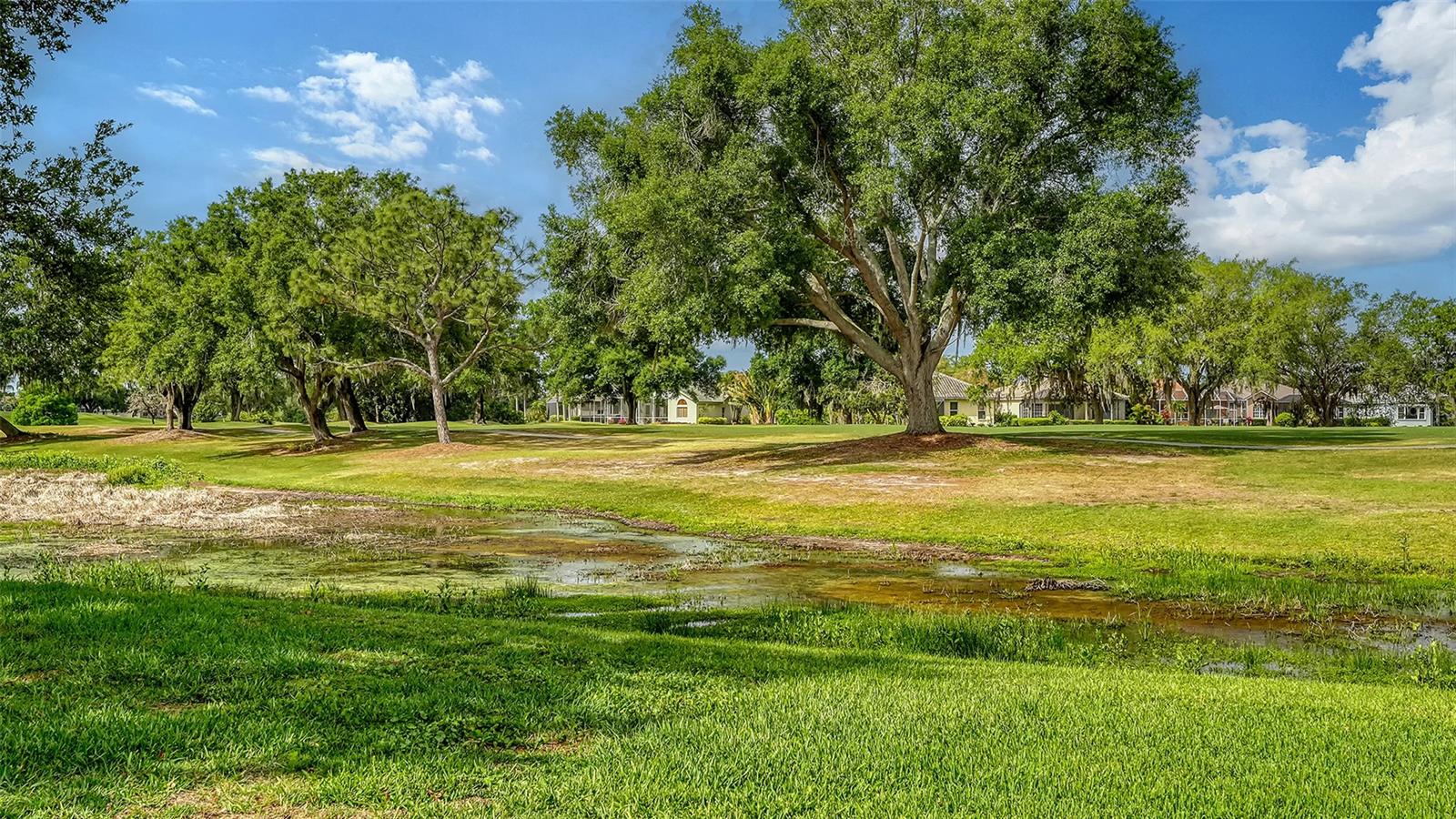 Image 57 of 76 For 7312 Pine Valley Street