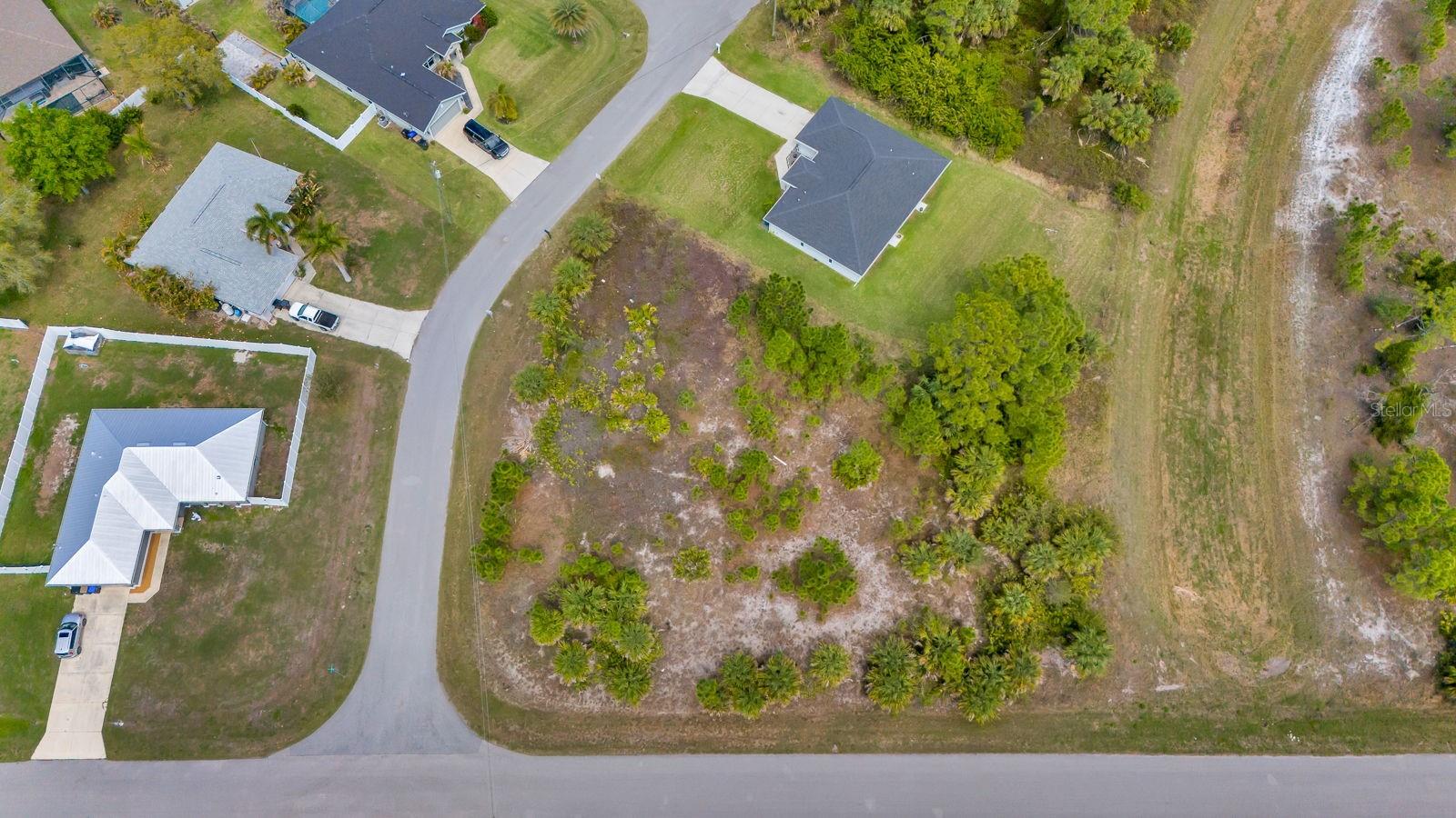 Image 10 of 12 For Amnesty Drive