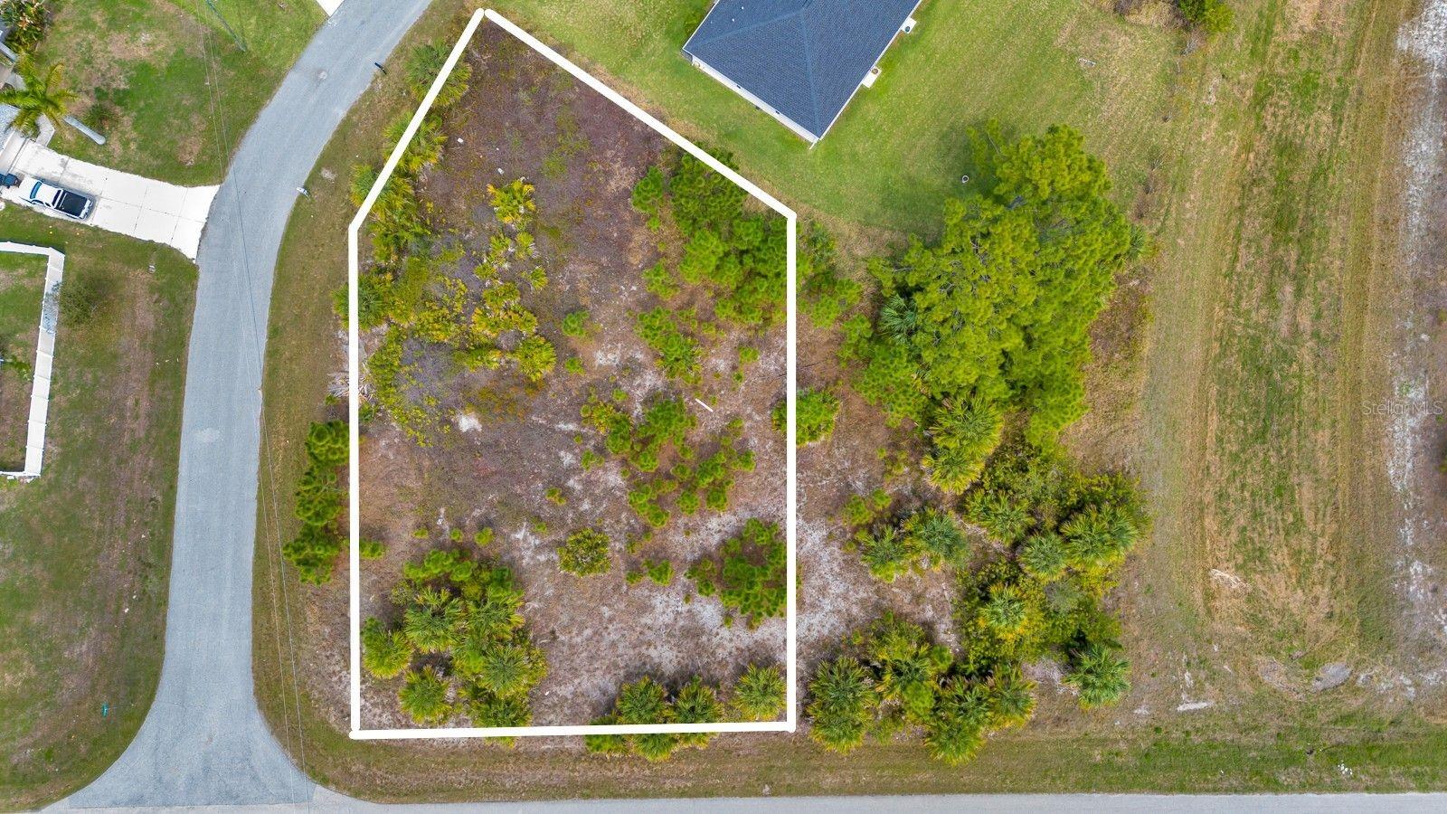 Image 11 of 12 For Amnesty Drive