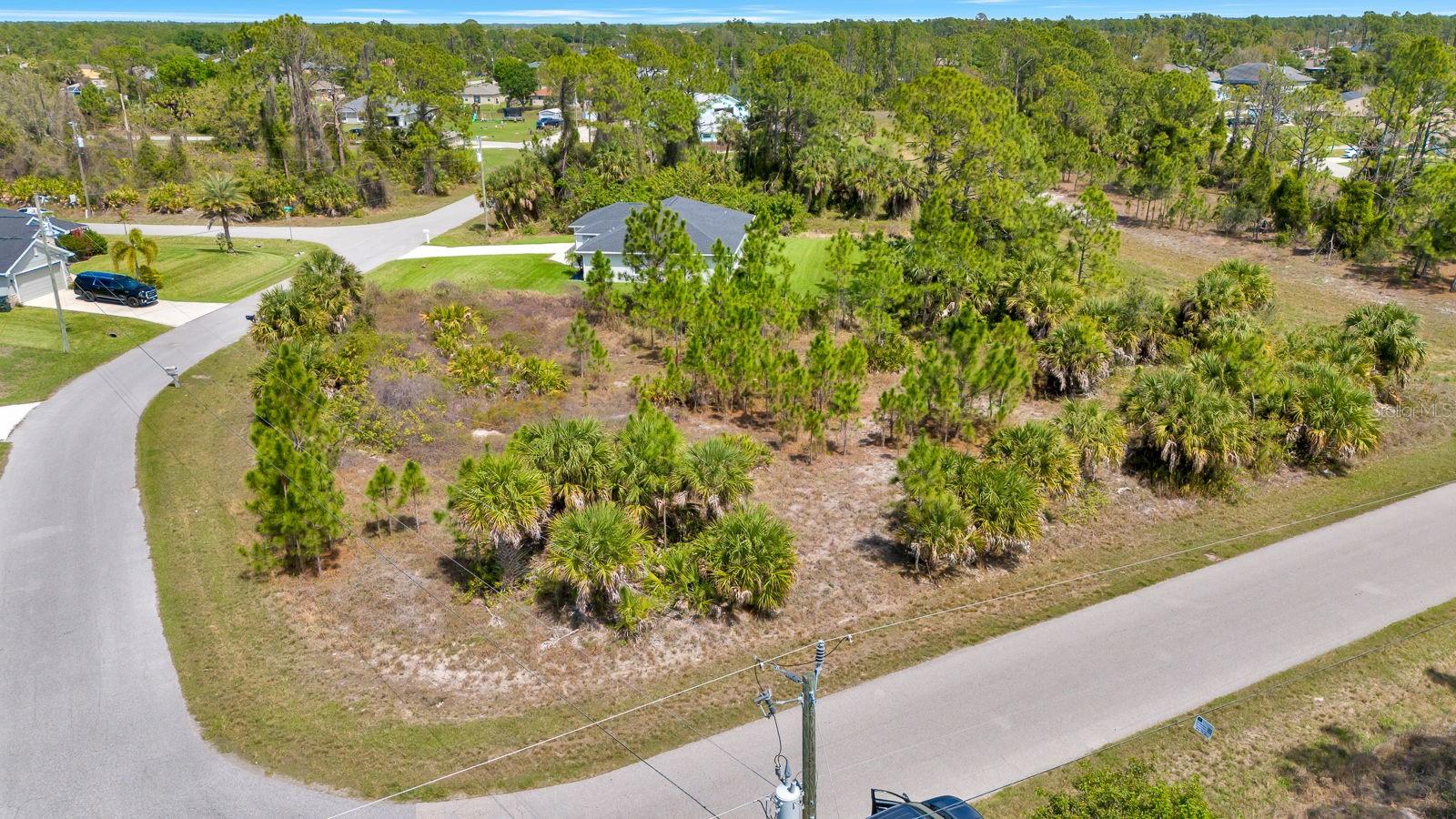 Image 2 of 12 For Amnesty Drive