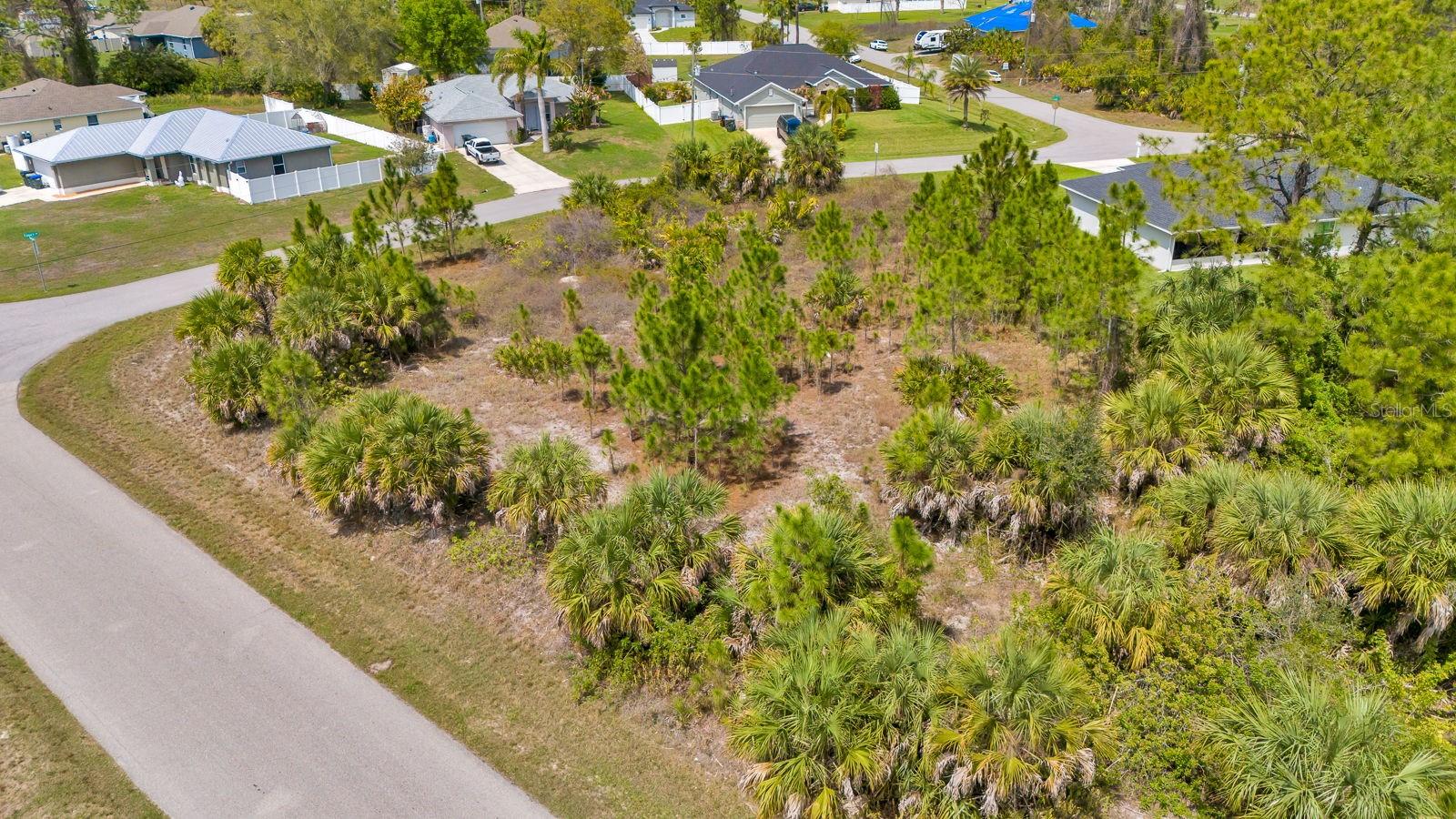 Image 3 of 12 For Amnesty Drive