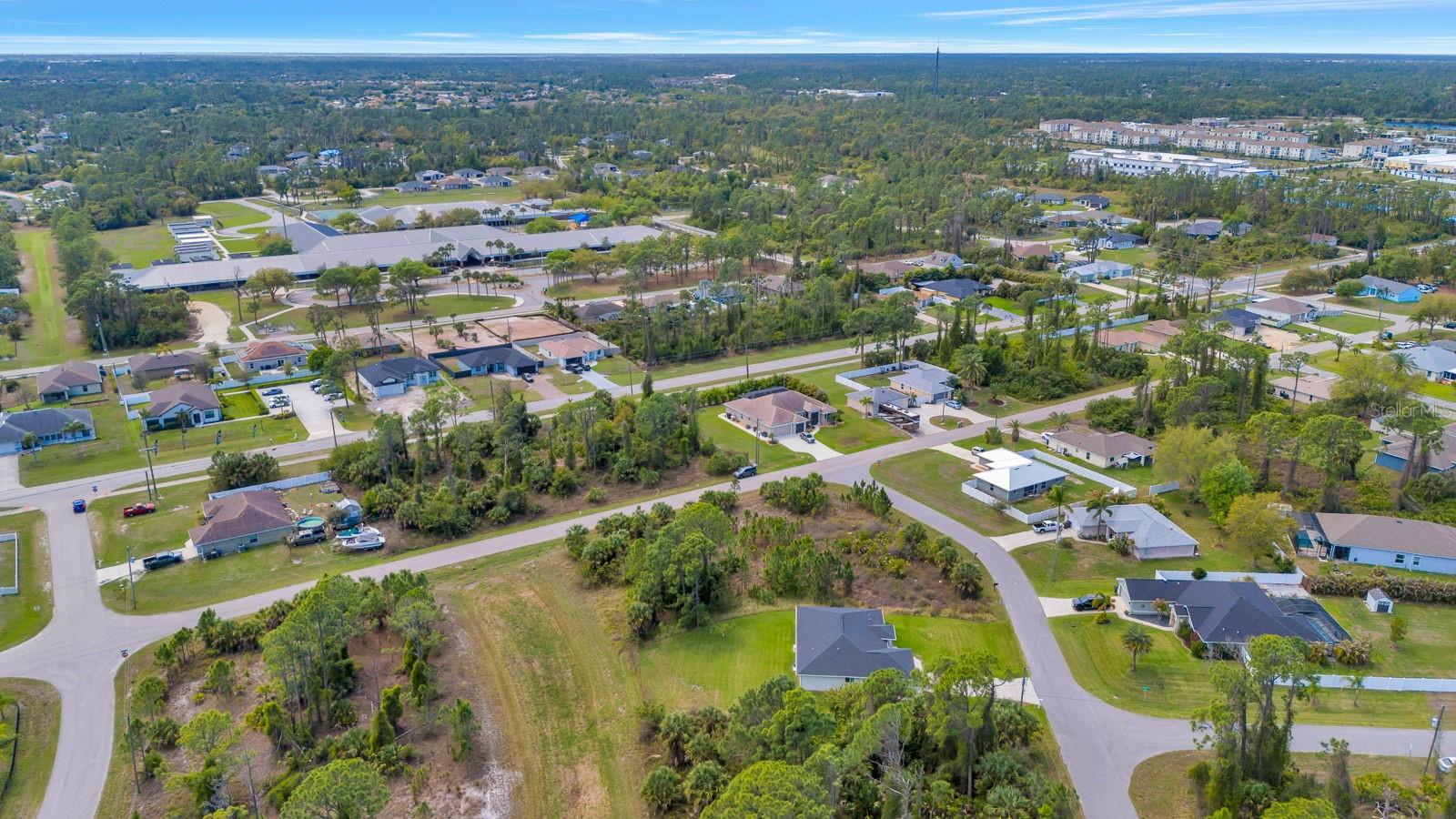 Image 7 of 12 For Amnesty Drive