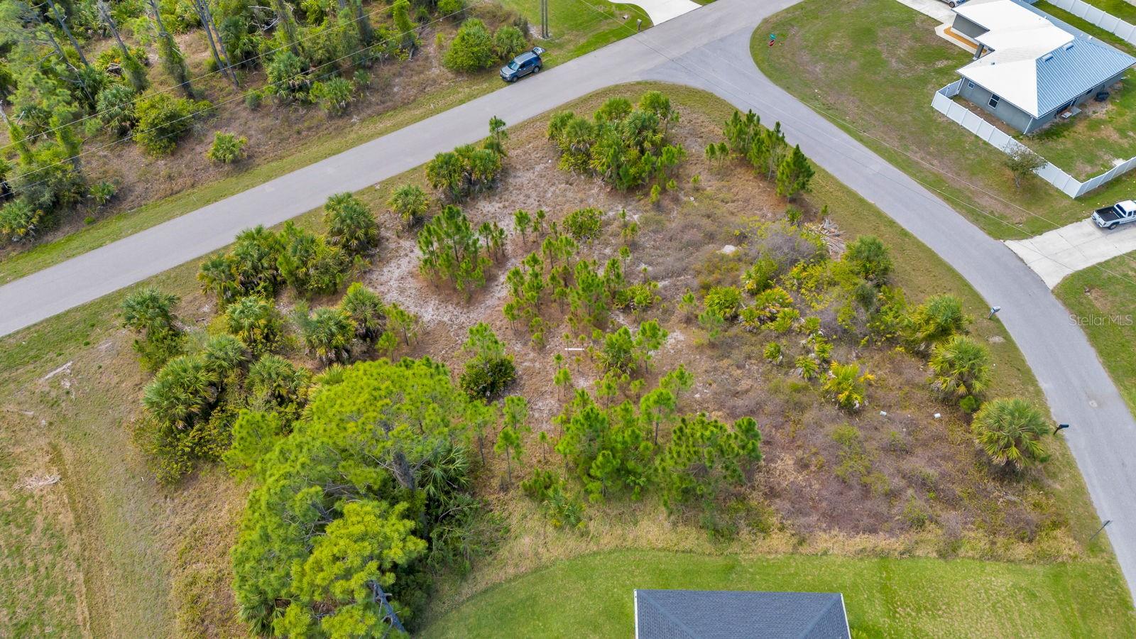 Image 8 of 12 For Amnesty Drive