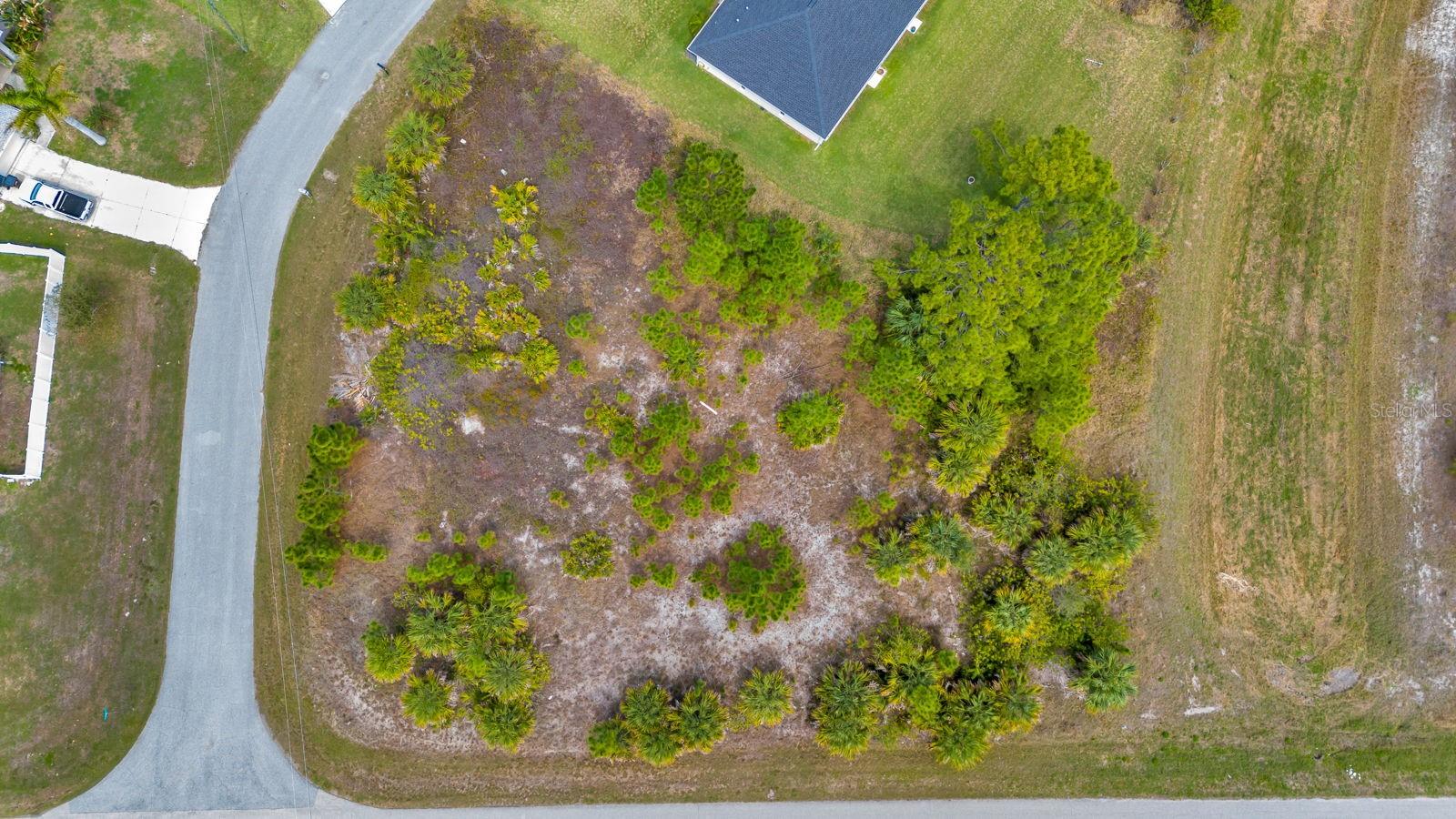 Image 9 of 12 For Amnesty Drive