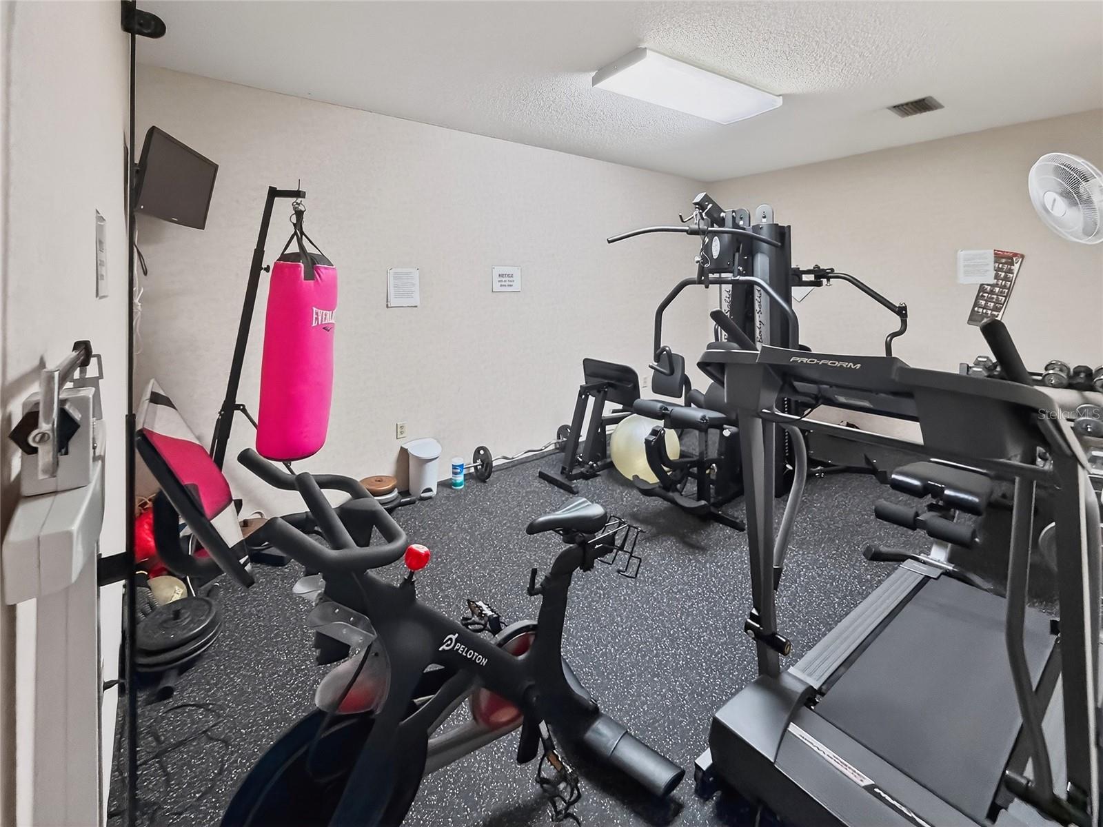 Image 62 of 63 For 4160 Fruitville Road 11