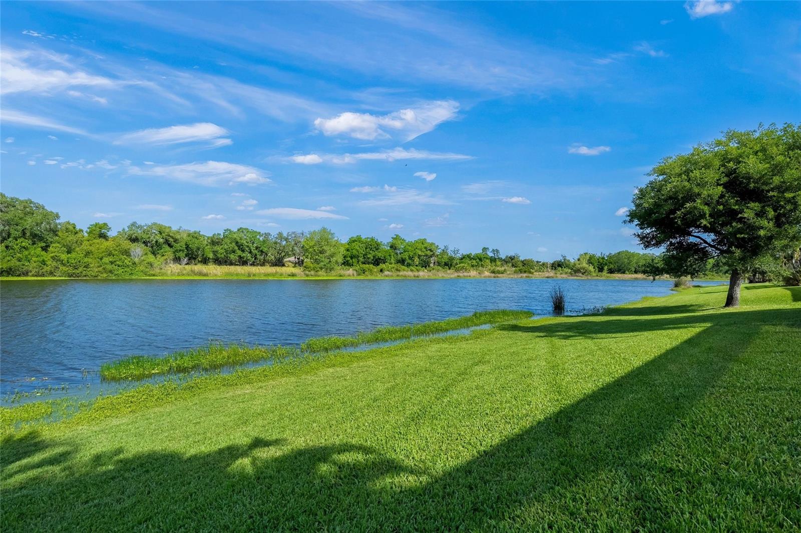 Image 53 of 74 For 8282 Barton Farms Boulevard