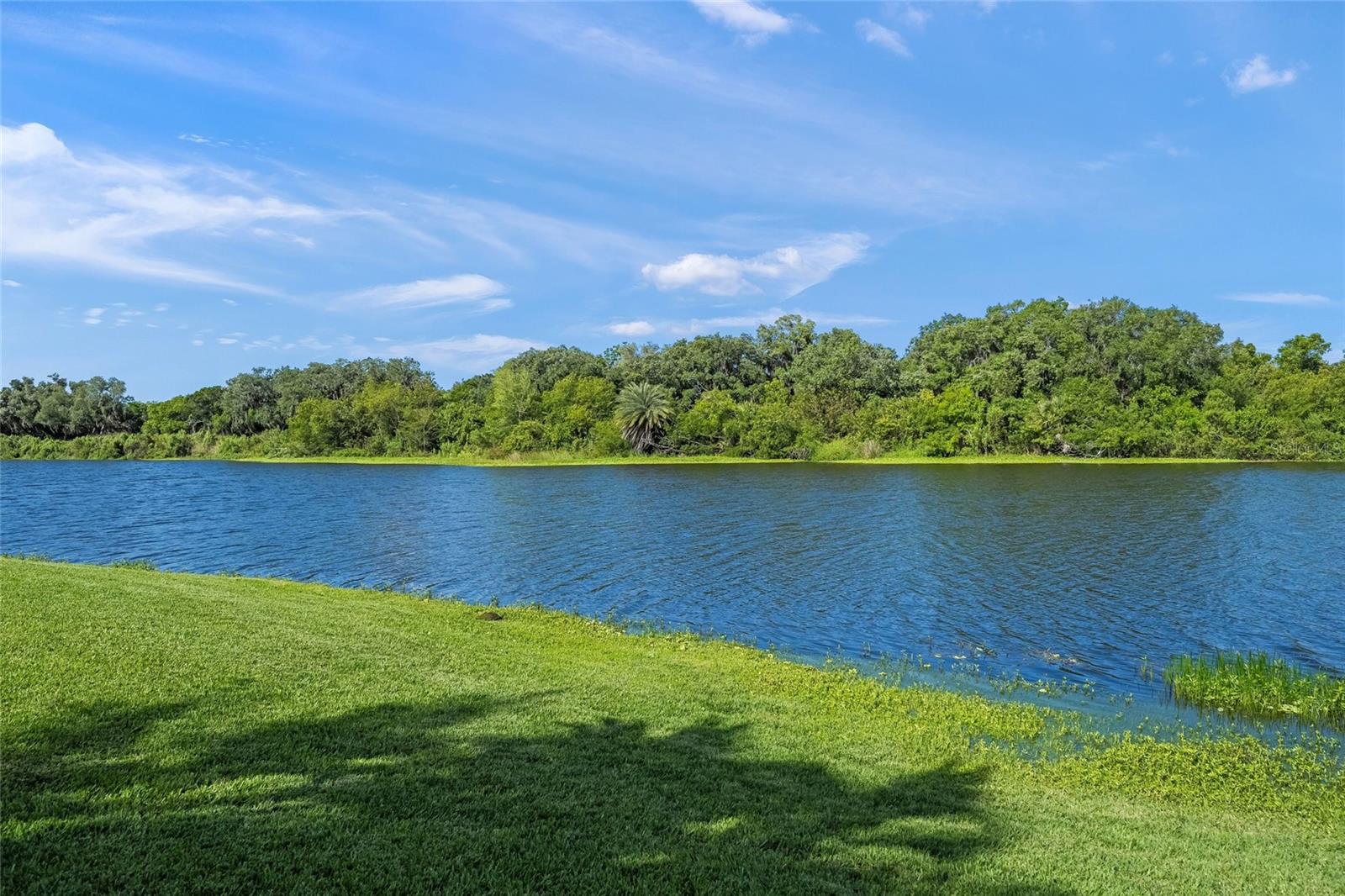 Image 54 of 74 For 8282 Barton Farms Boulevard