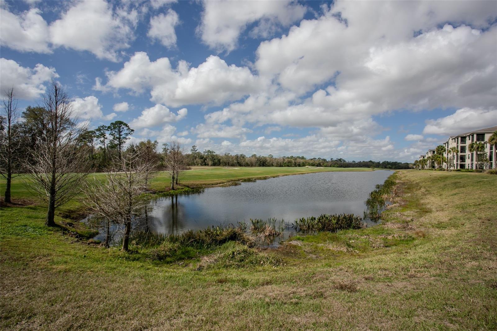 Image 43 of 48 For 18028 Gawthrop Drive 403