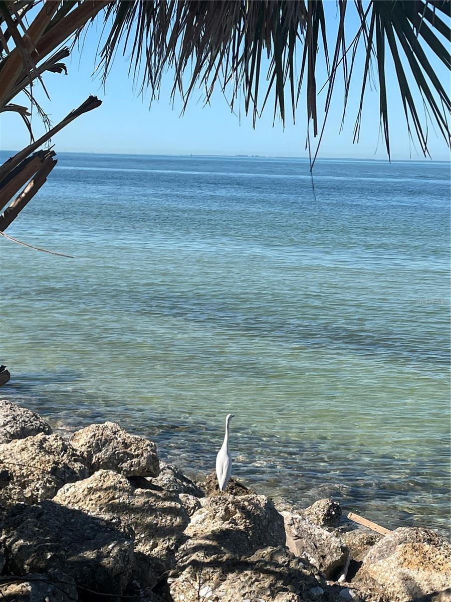 Image 33 of 37 For 8843 17th Avenue Circle Nw