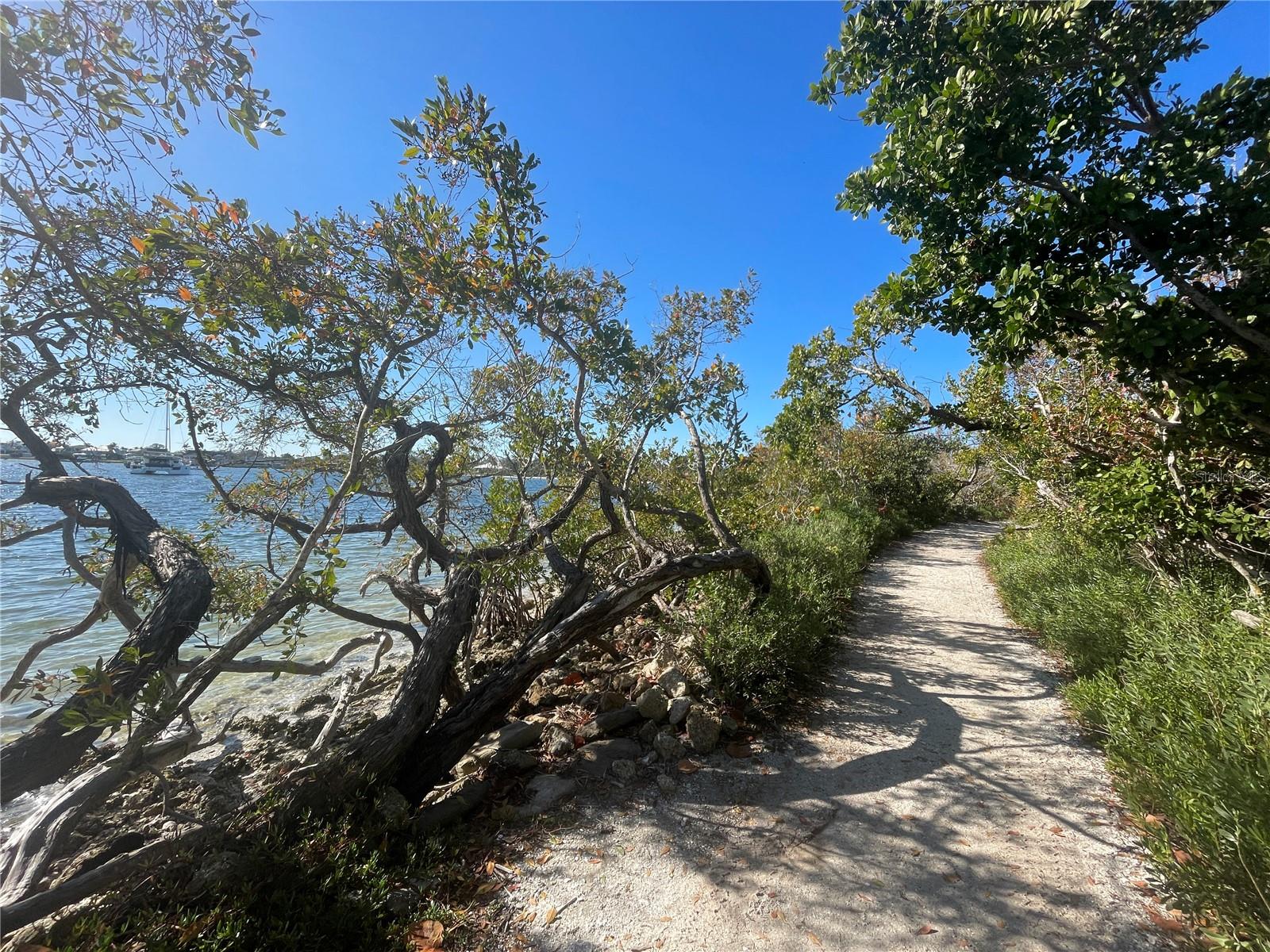 Image 34 of 37 For 8843 17th Avenue Circle Nw