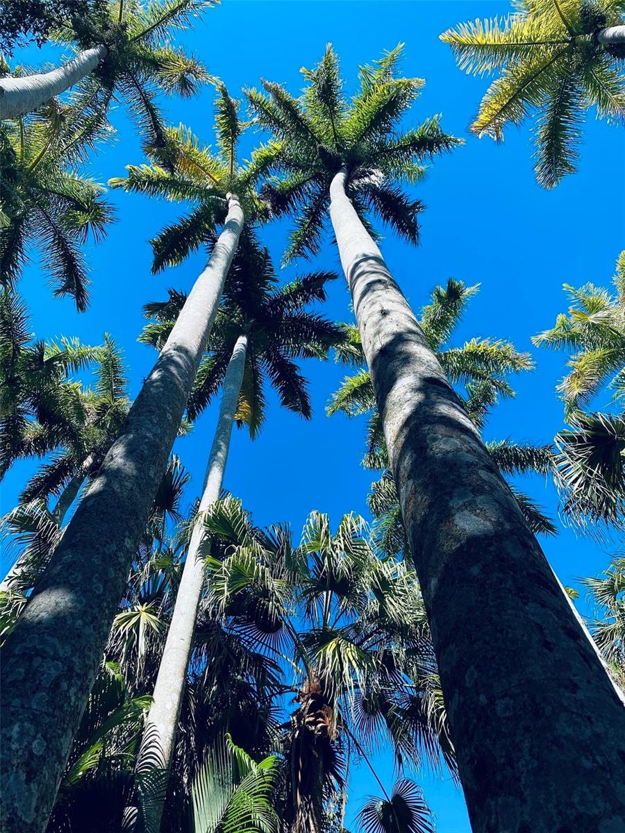 Image 42 of 44 For 1675 Blakemore Lane