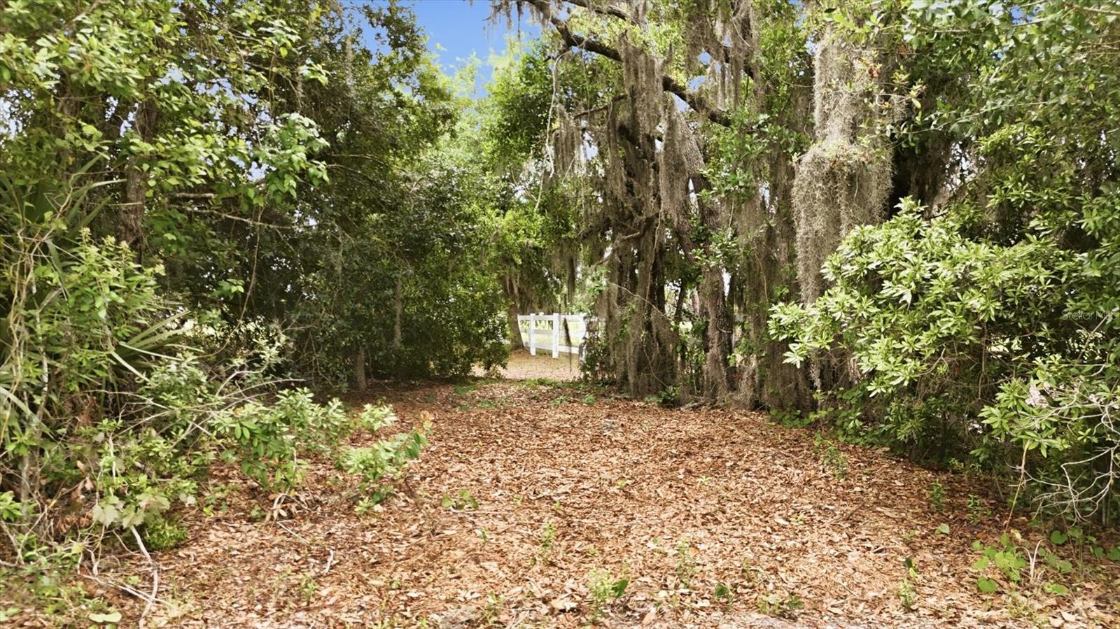 Listing photo id 66 for 26920 Brandiff Road E