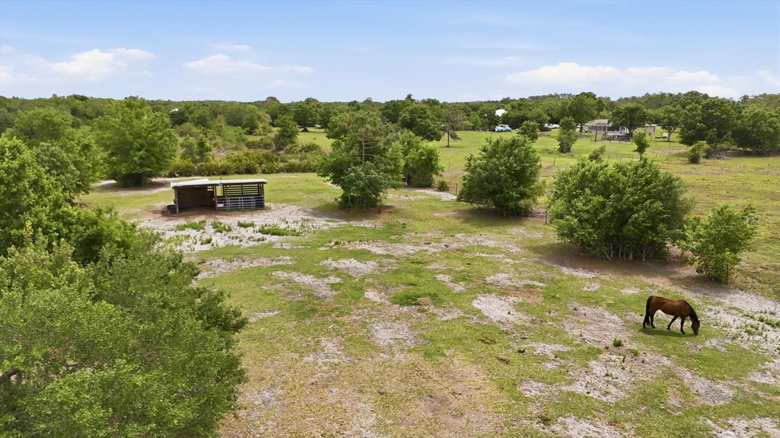 Listing photo id 68 for 26920 Brandiff Road E