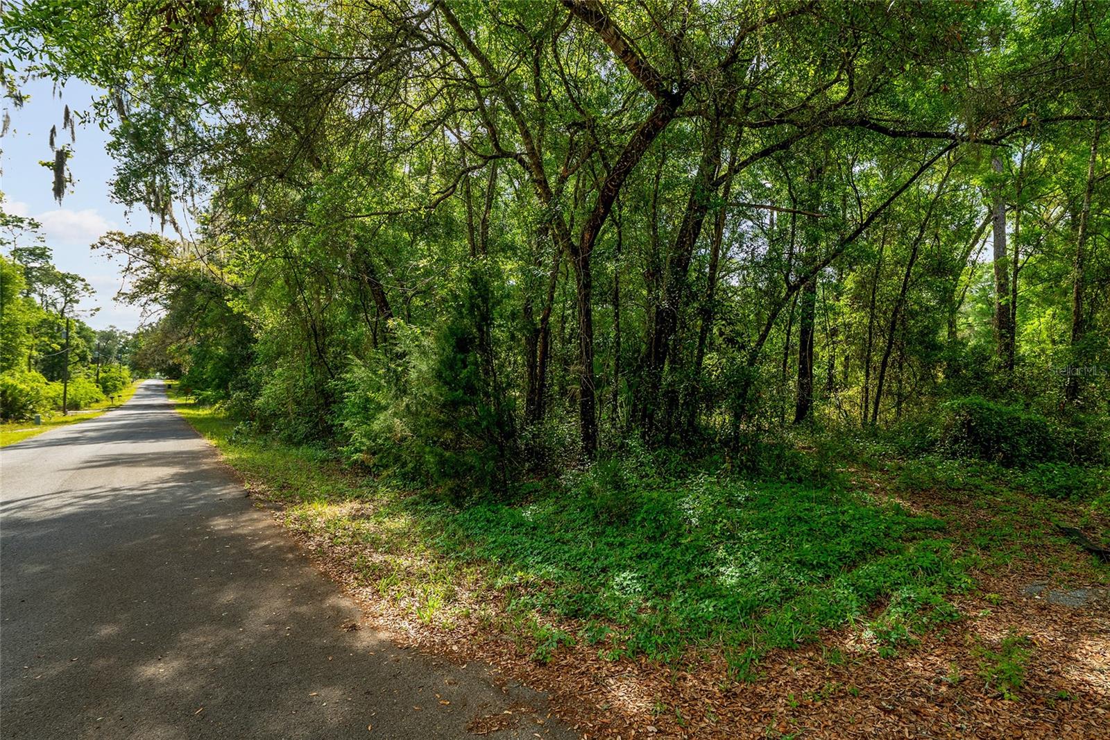 Image 4 of 11 For Tbd 20th Street