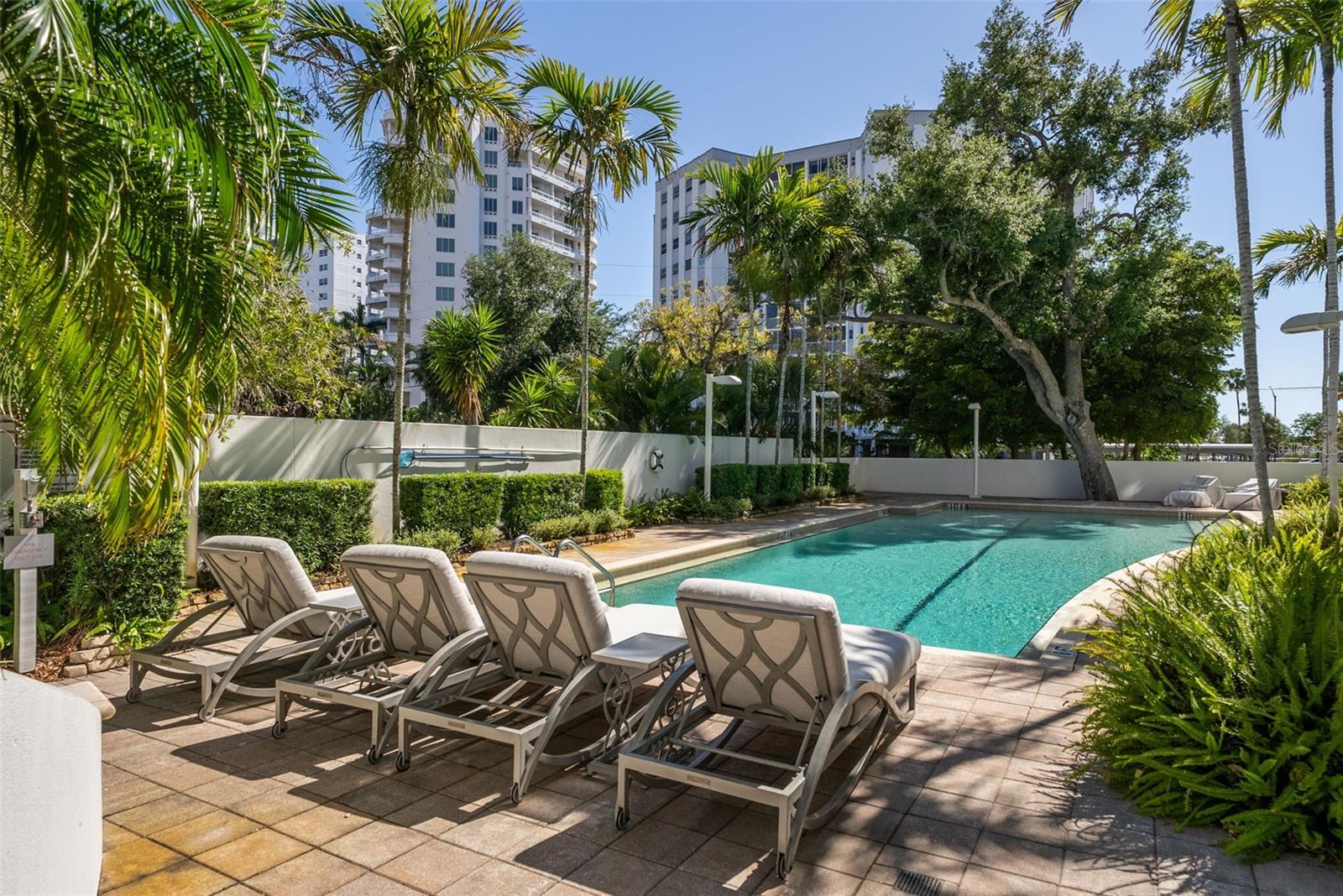Image 56 of 80 For 401 Palm Avenue 1102