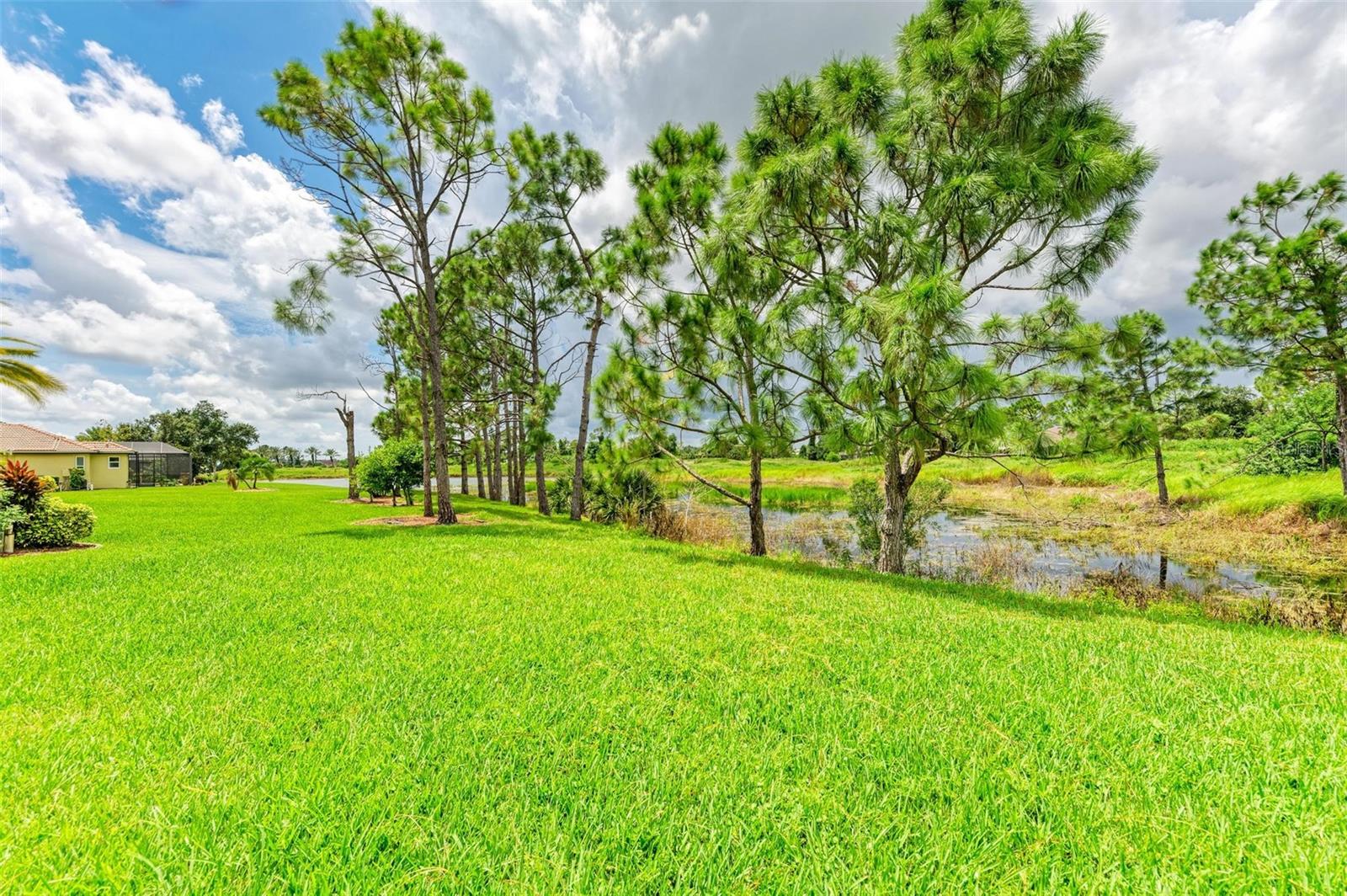 Listing photo id 48 for 2443 Silver Palm Road