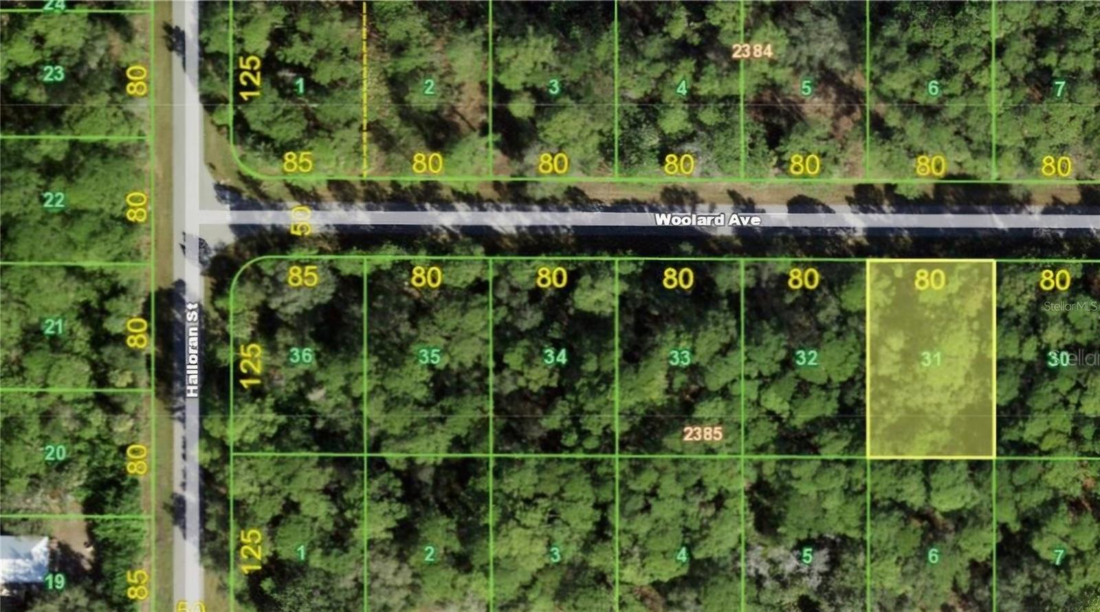 Listing Details for 13101 Woolard Avenue, PORT CHARLOTTE, FL 33953