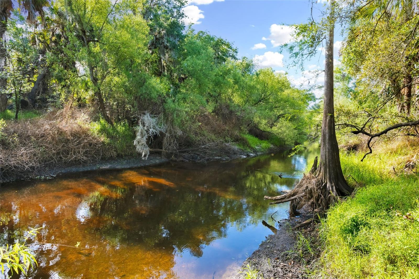 Image 36 of 40 For 8096 Golden Glade Avenue