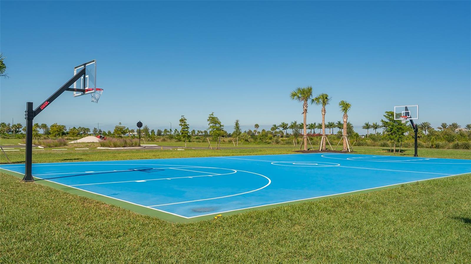 Image 82 of 94 For 10089 Morning Mist Ln Lane