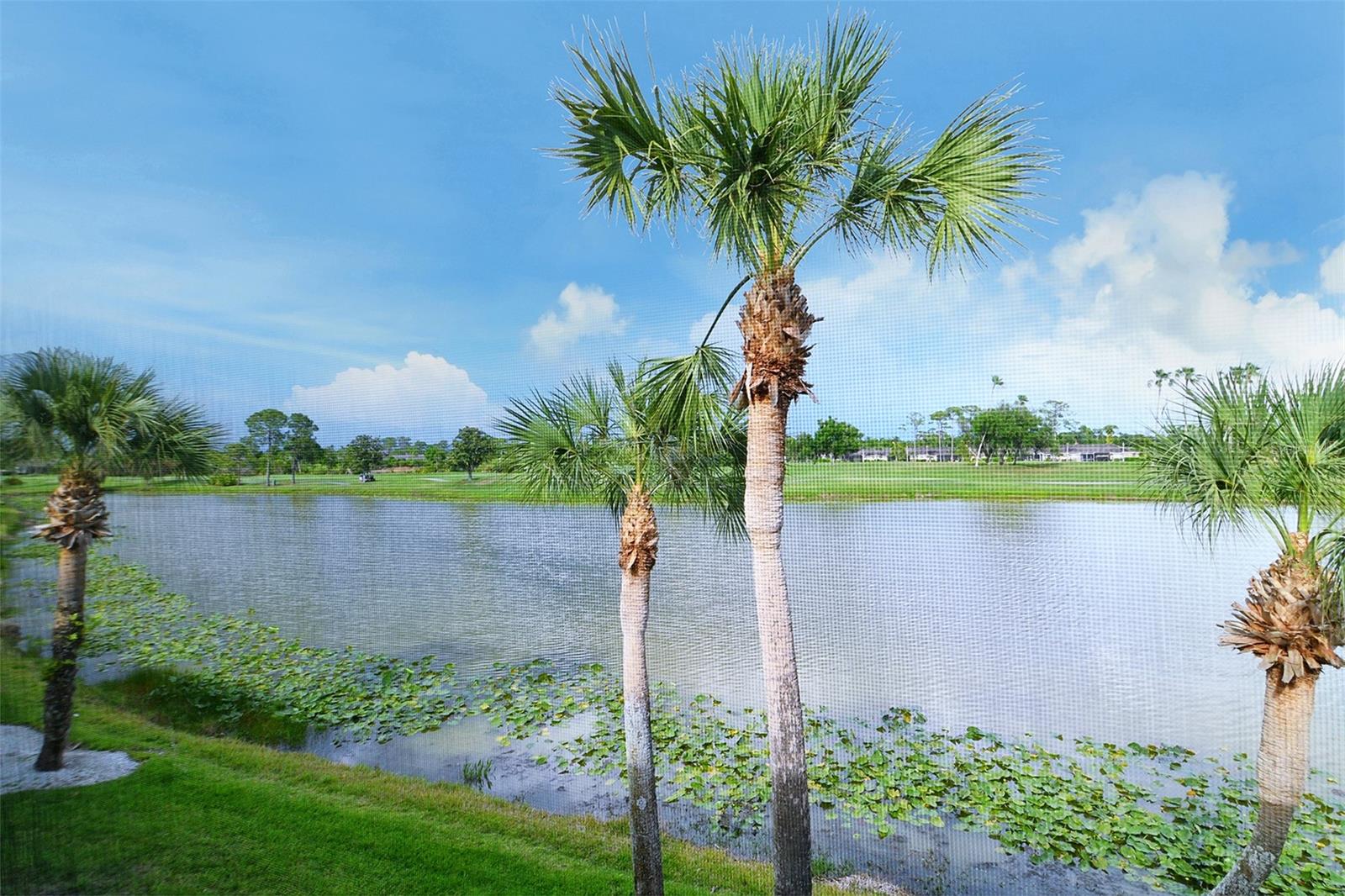 Image 43 of 64 For 5251 Mahogany Run Avenue 525