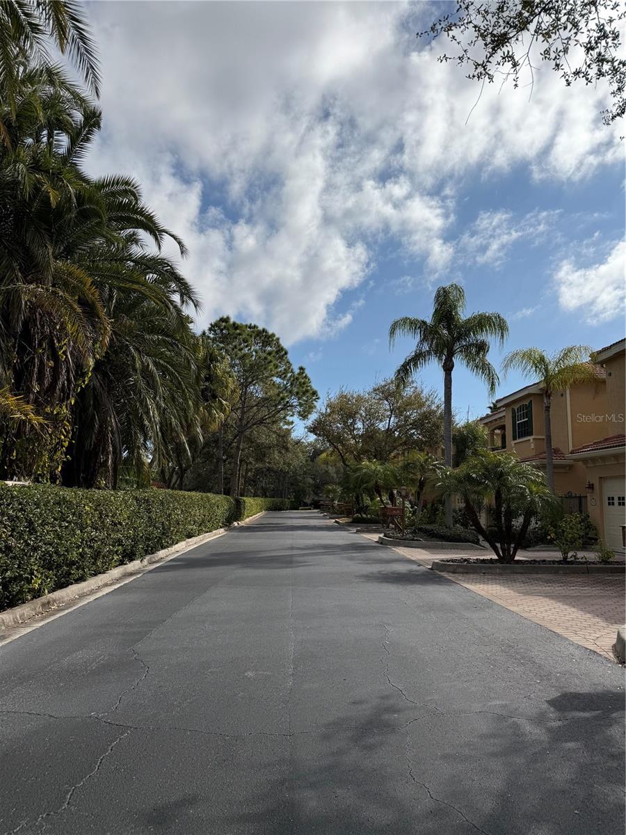 Image 47 of 49 For 3625 Square West Lane 4