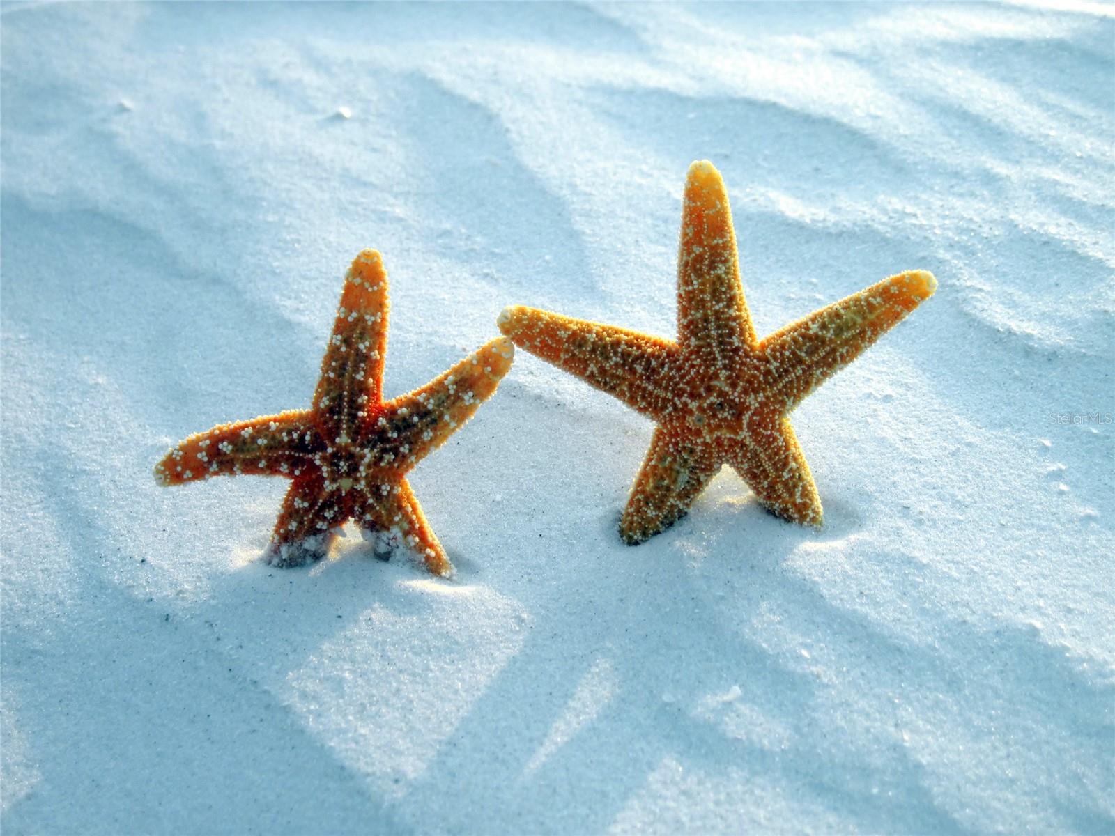 Image 31 of 32 For 1331 Daryl Drive