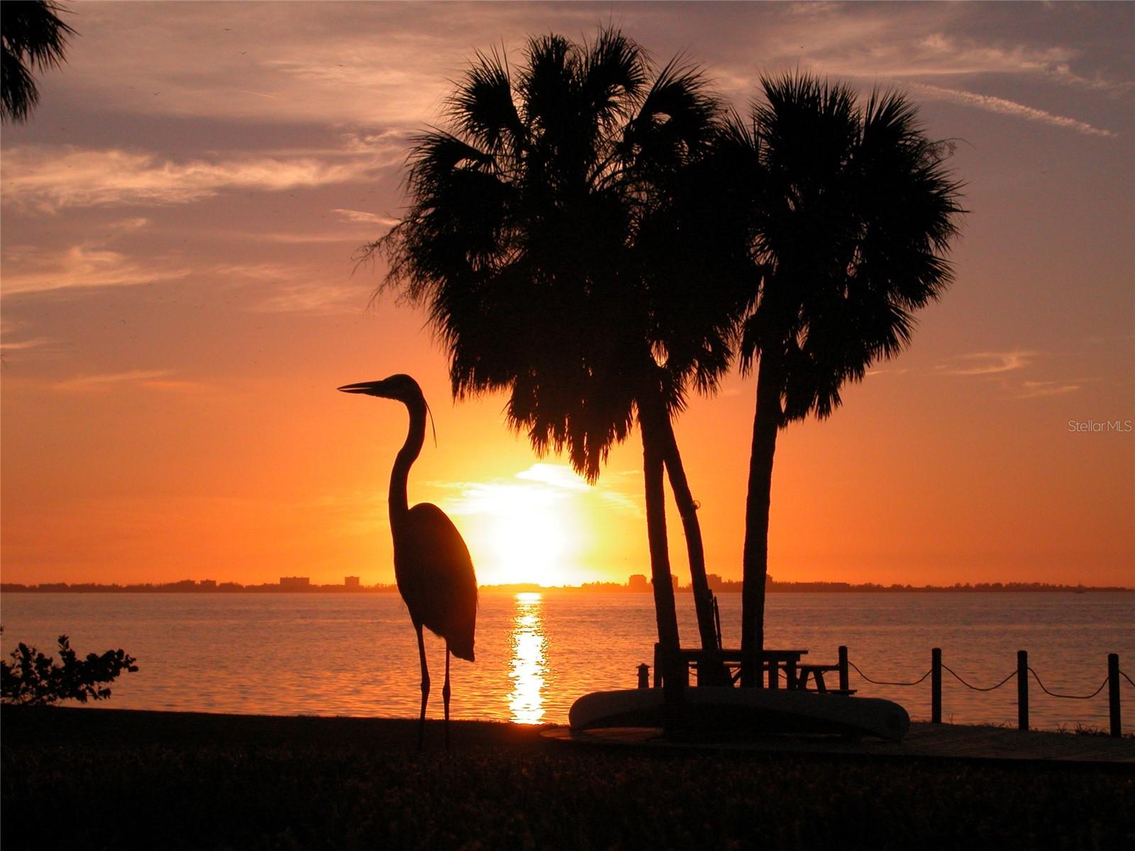 Image 32 of 32 For 1331 Daryl Drive