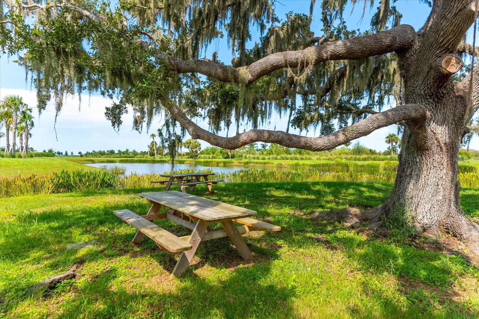 Image 61 of 78 For 8765 Daybreak Street