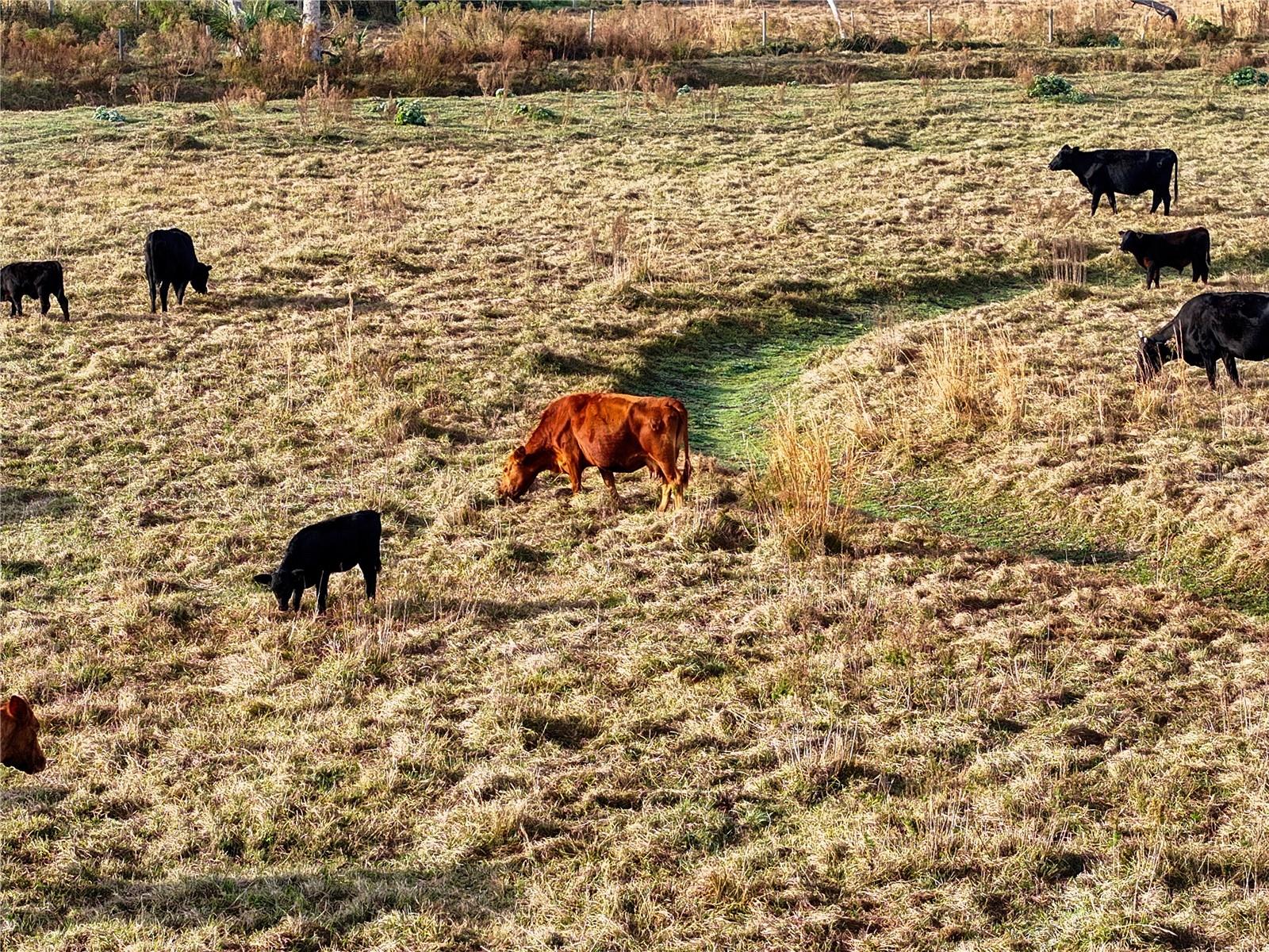 Image 75 of 78 For 8765 Daybreak Street