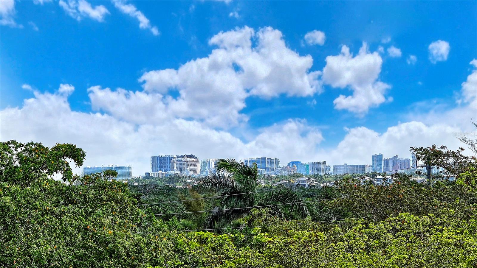 Image 8 of 54 For 1800 Benjamin Franklin Drive B308