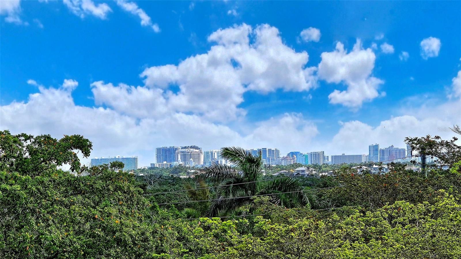 Image 9 of 54 For 1800 Benjamin Franklin Drive B308