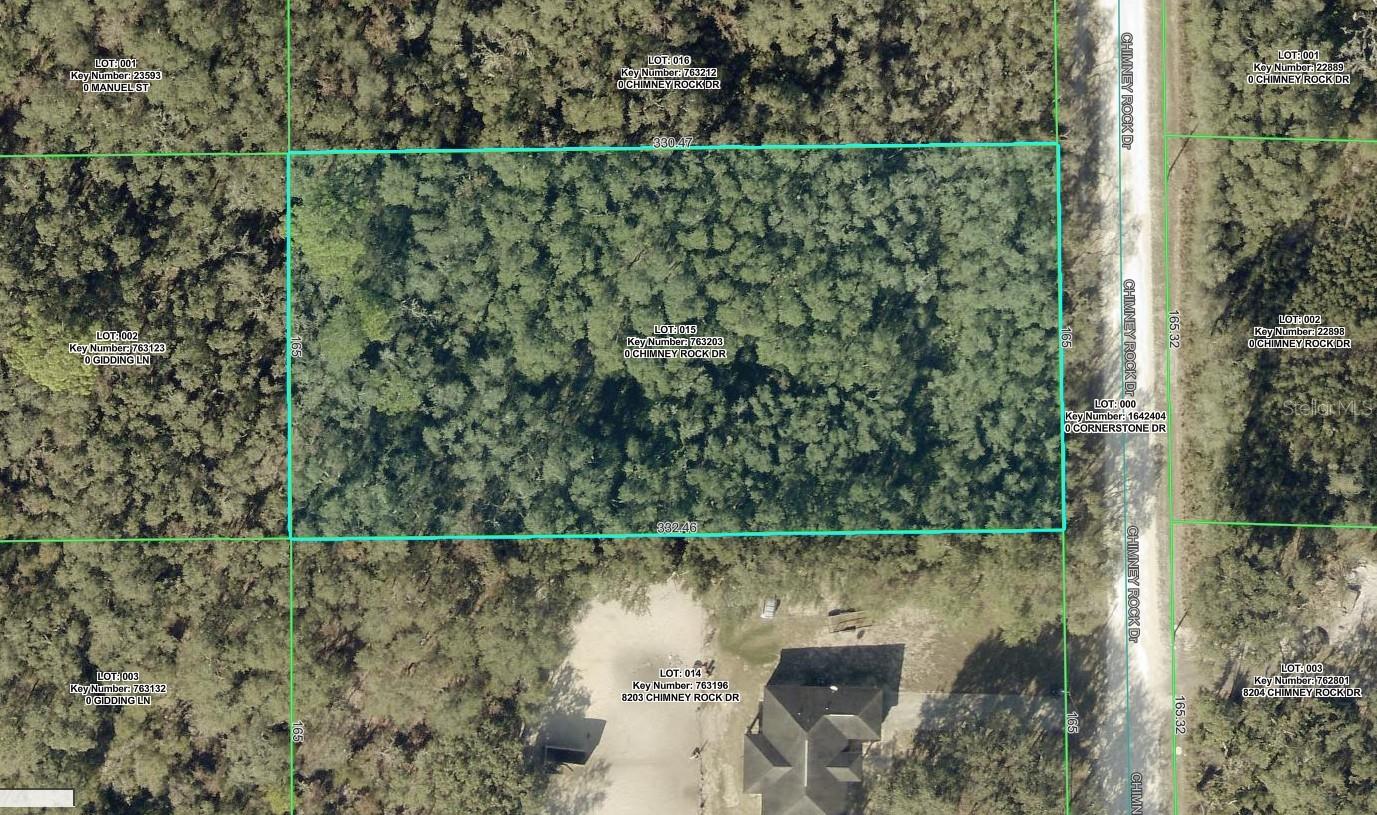 Details for 8223 Chimney Rock Drive, WEBSTER, FL 33597