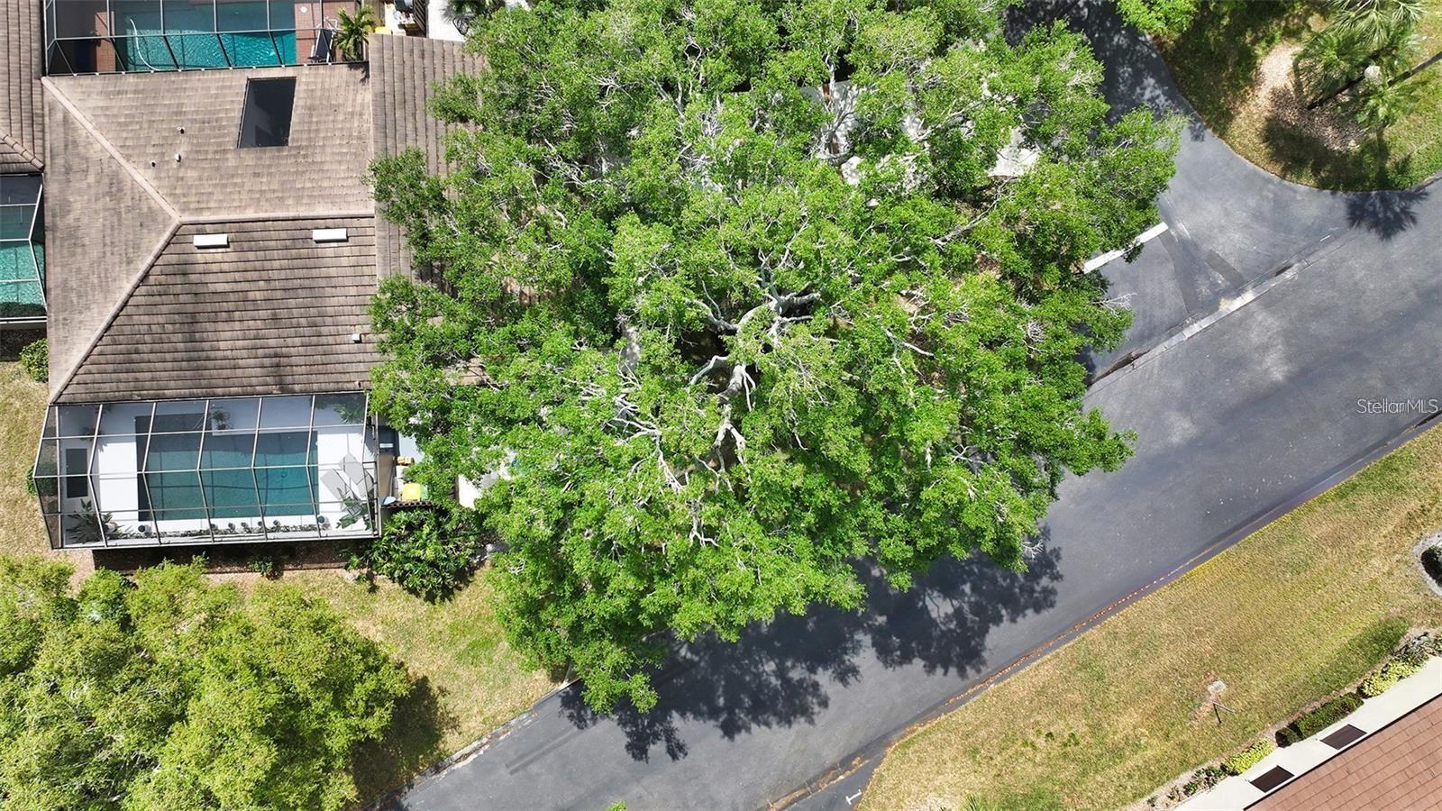 Image 41 of 48 For 3842 Glen Oaks Manor Drive