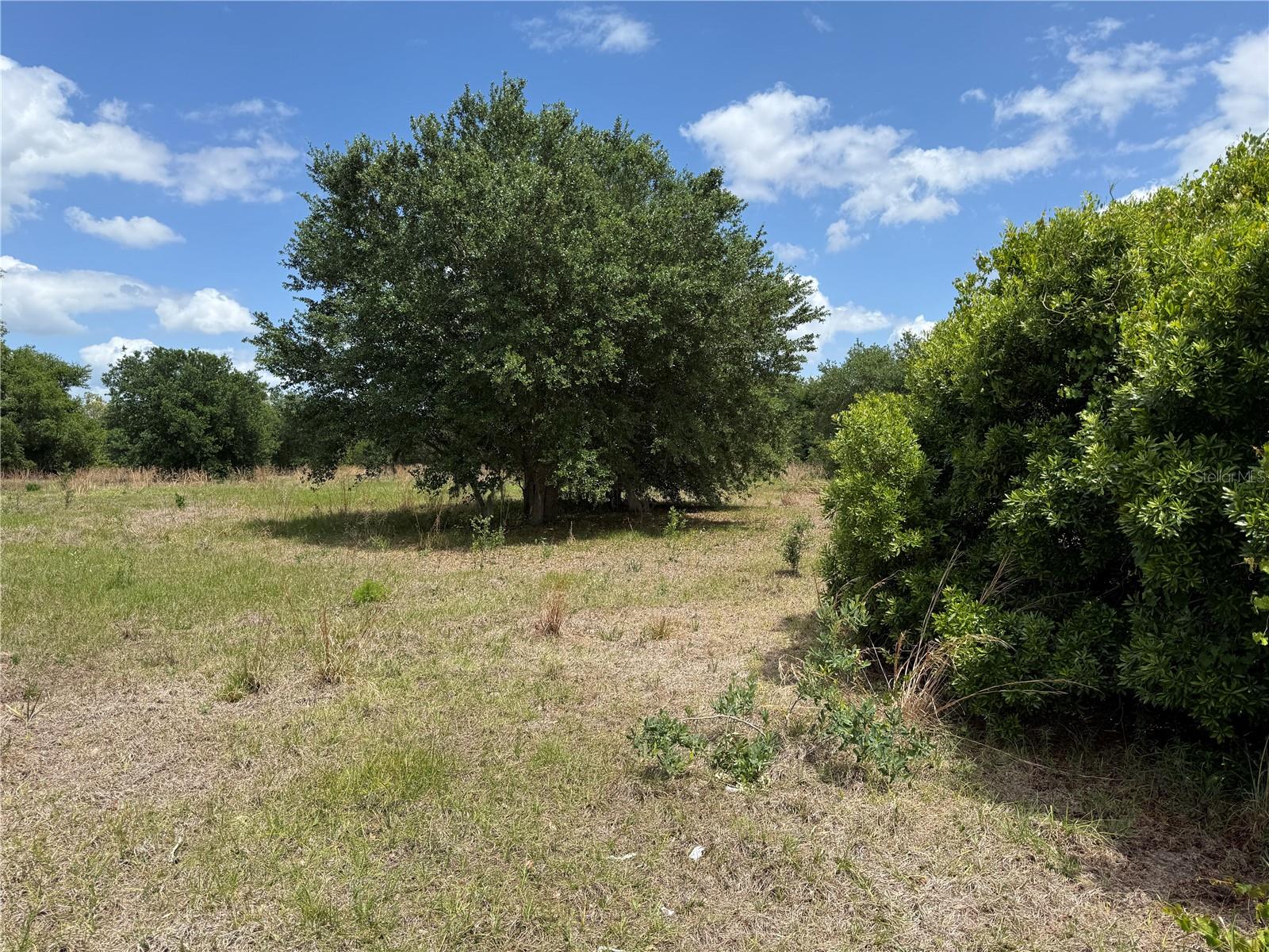 Image 4 of 9 For Myakka Valley Trail