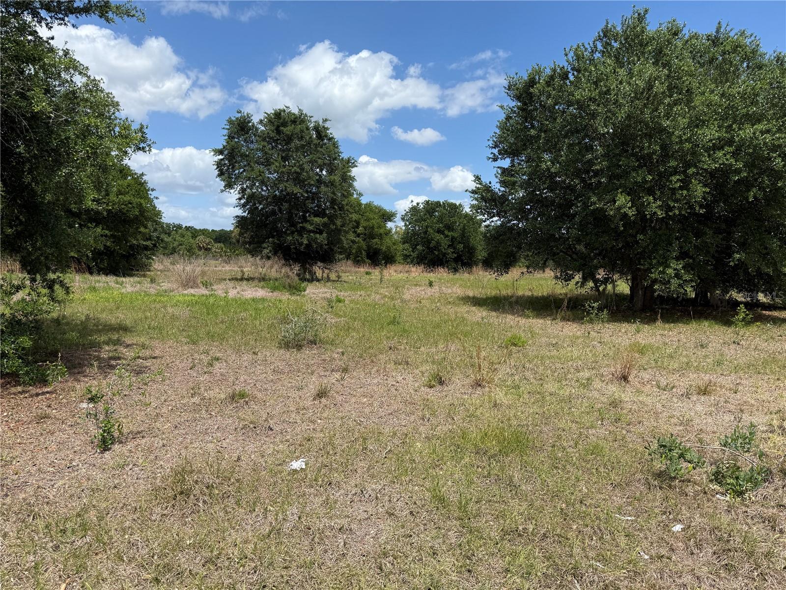 Image 5 of 9 For Myakka Valley Trail