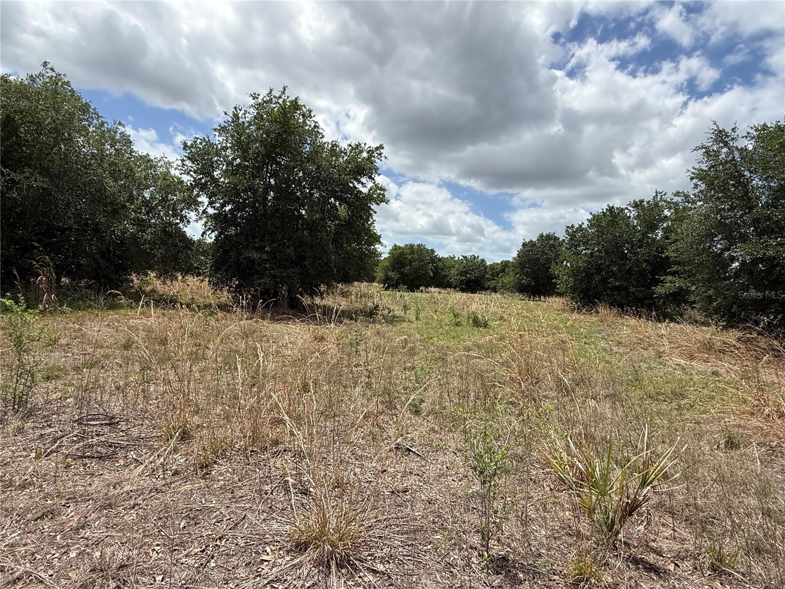 Image 6 of 9 For Myakka Valley Trail