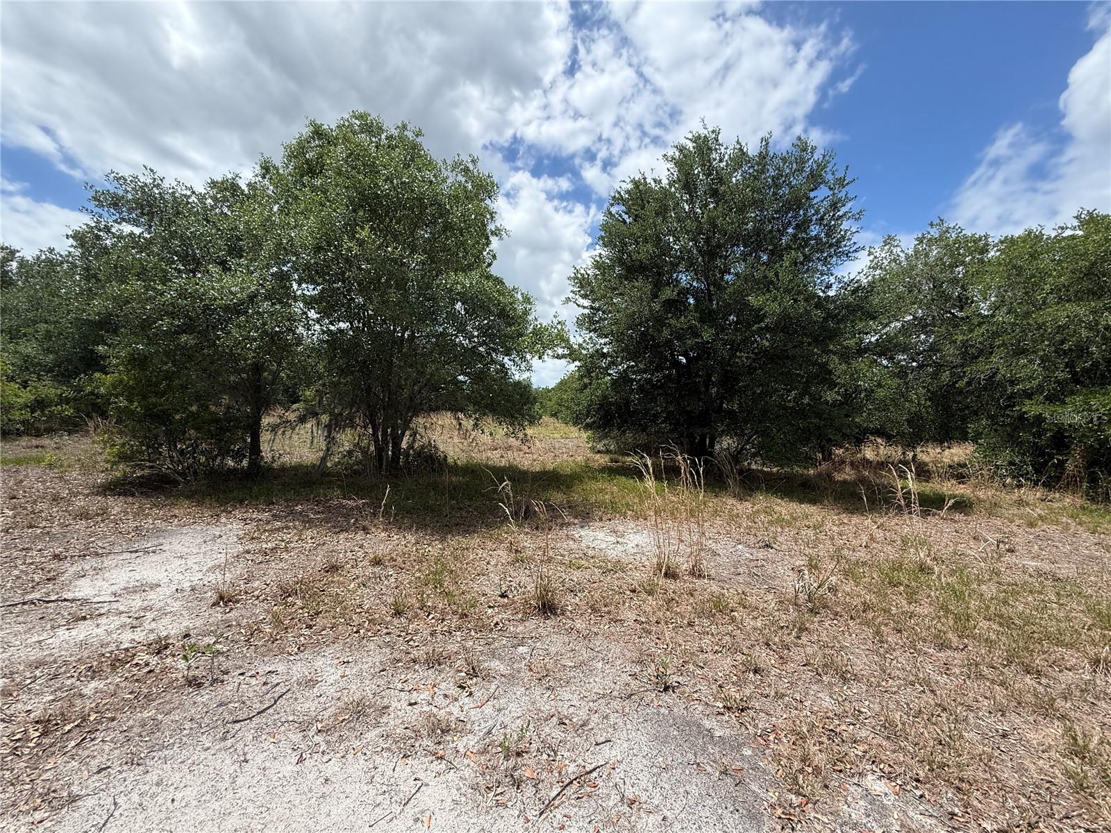 Image 7 of 9 For Myakka Valley Trail