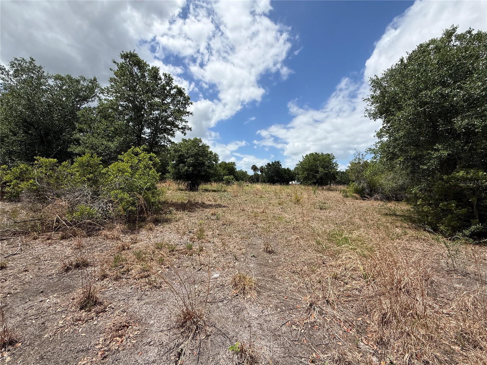Image 8 of 9 For Myakka Valley Trail
