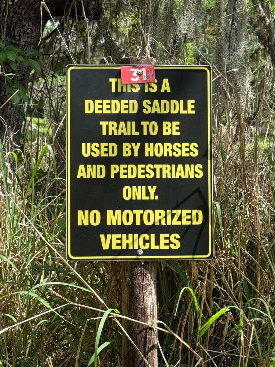 Image 9 of 9 For Myakka Valley Trail