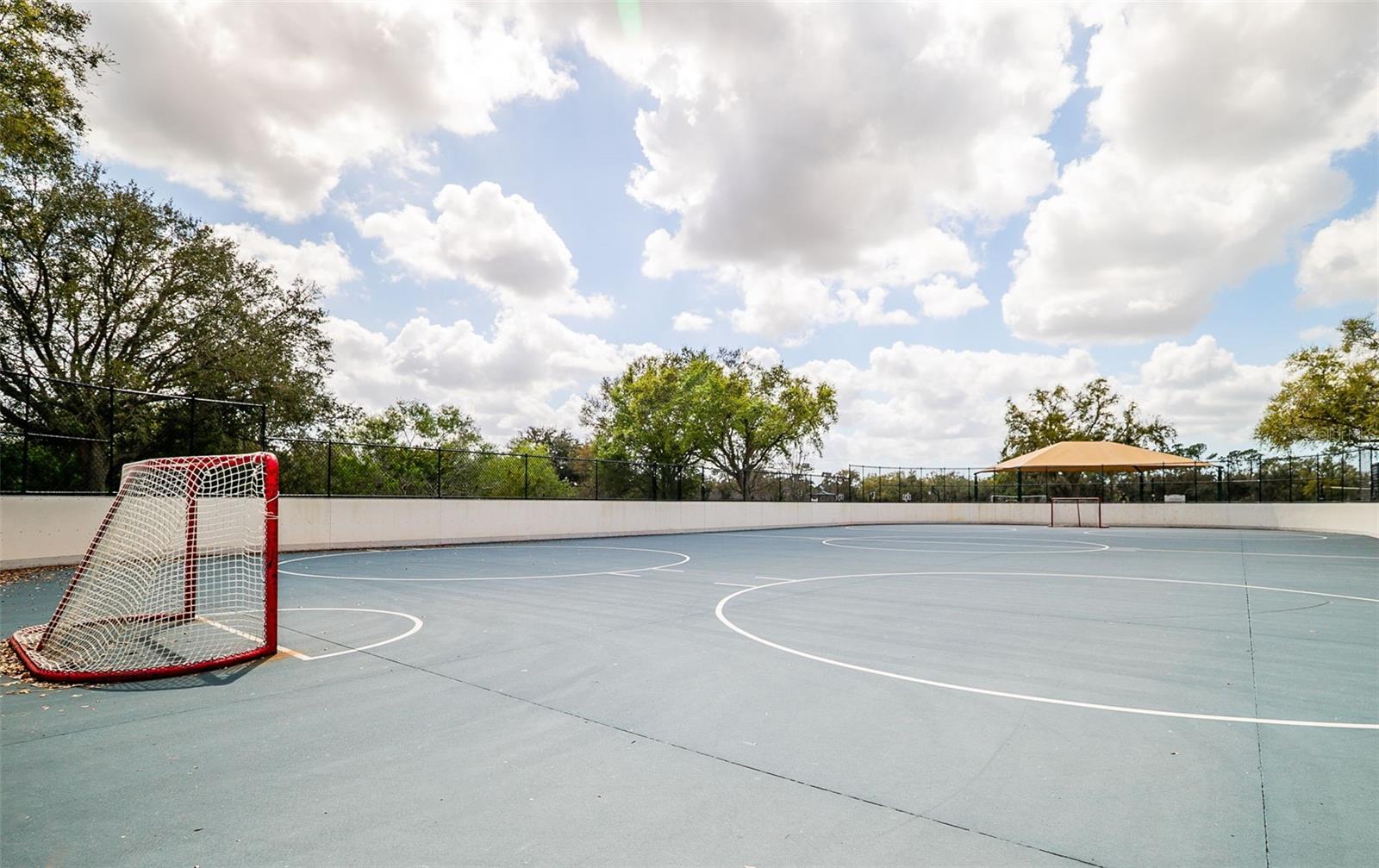 Image 54 of 67 For 13339 Swallowtail Drive