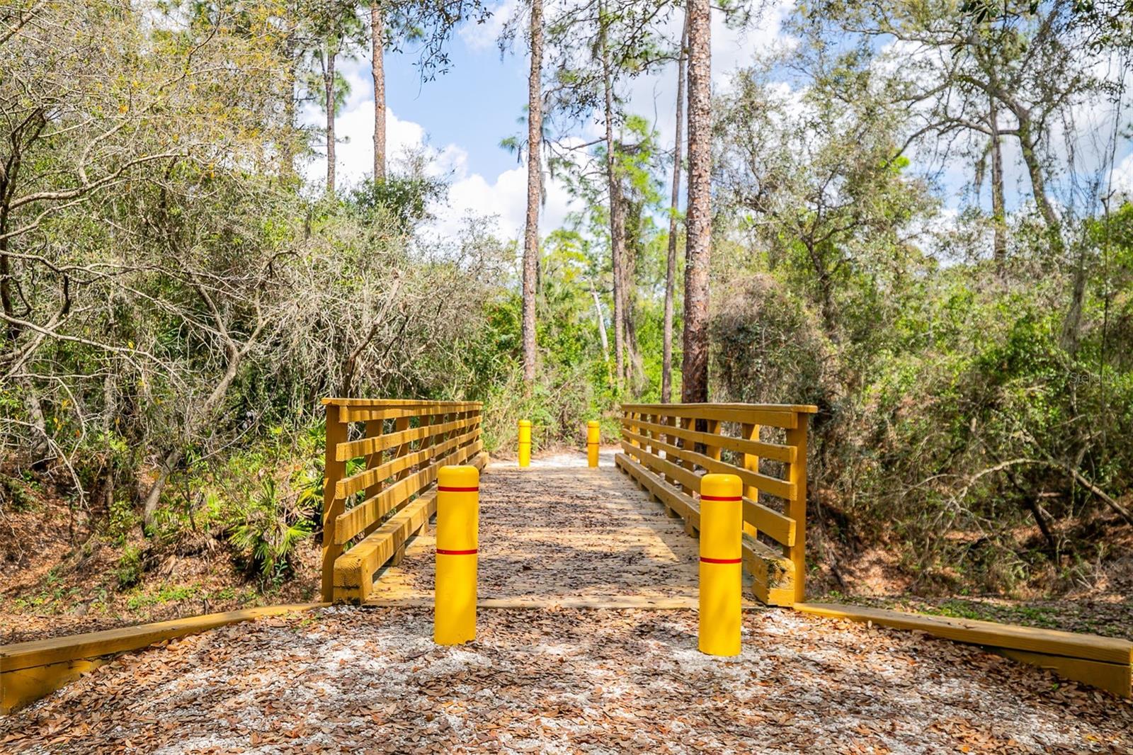 Image 59 of 67 For 13339 Swallowtail Drive