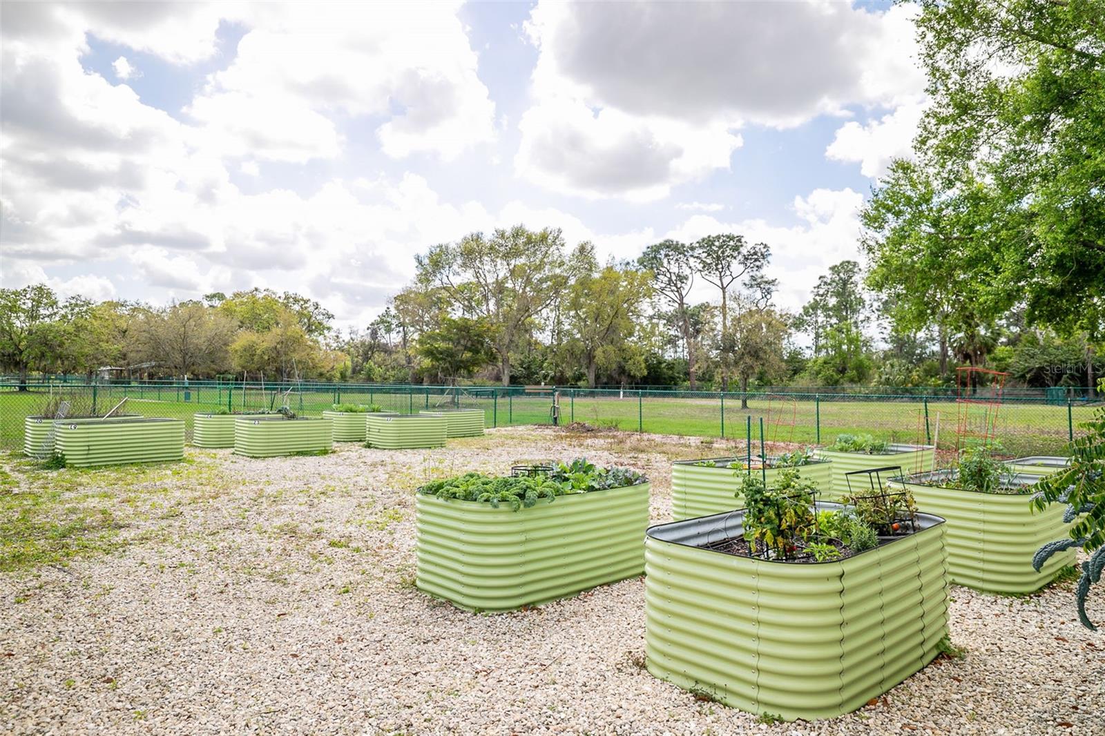 Image 60 of 67 For 13339 Swallowtail Drive